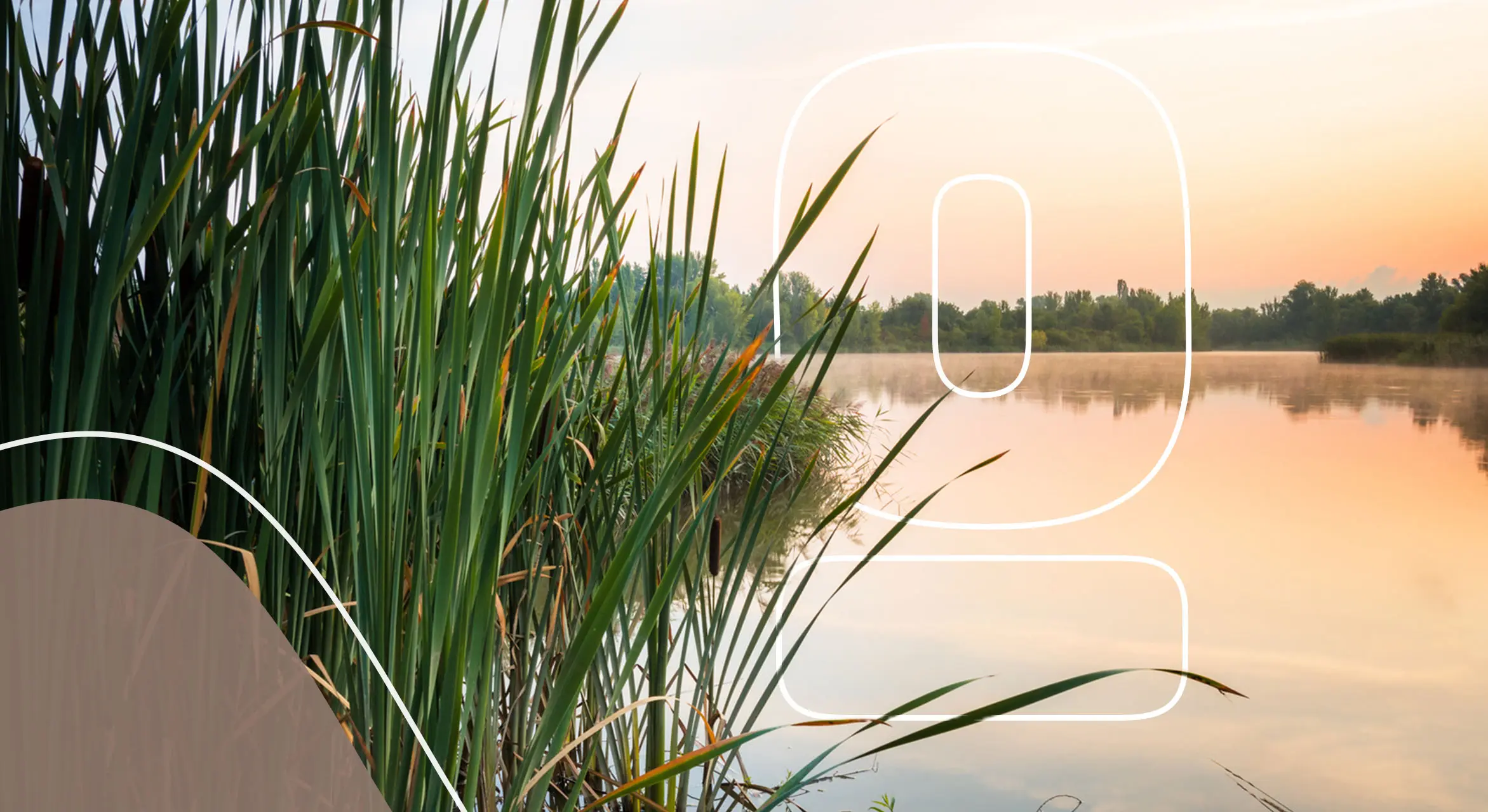 8-Facts-About-Wetlands