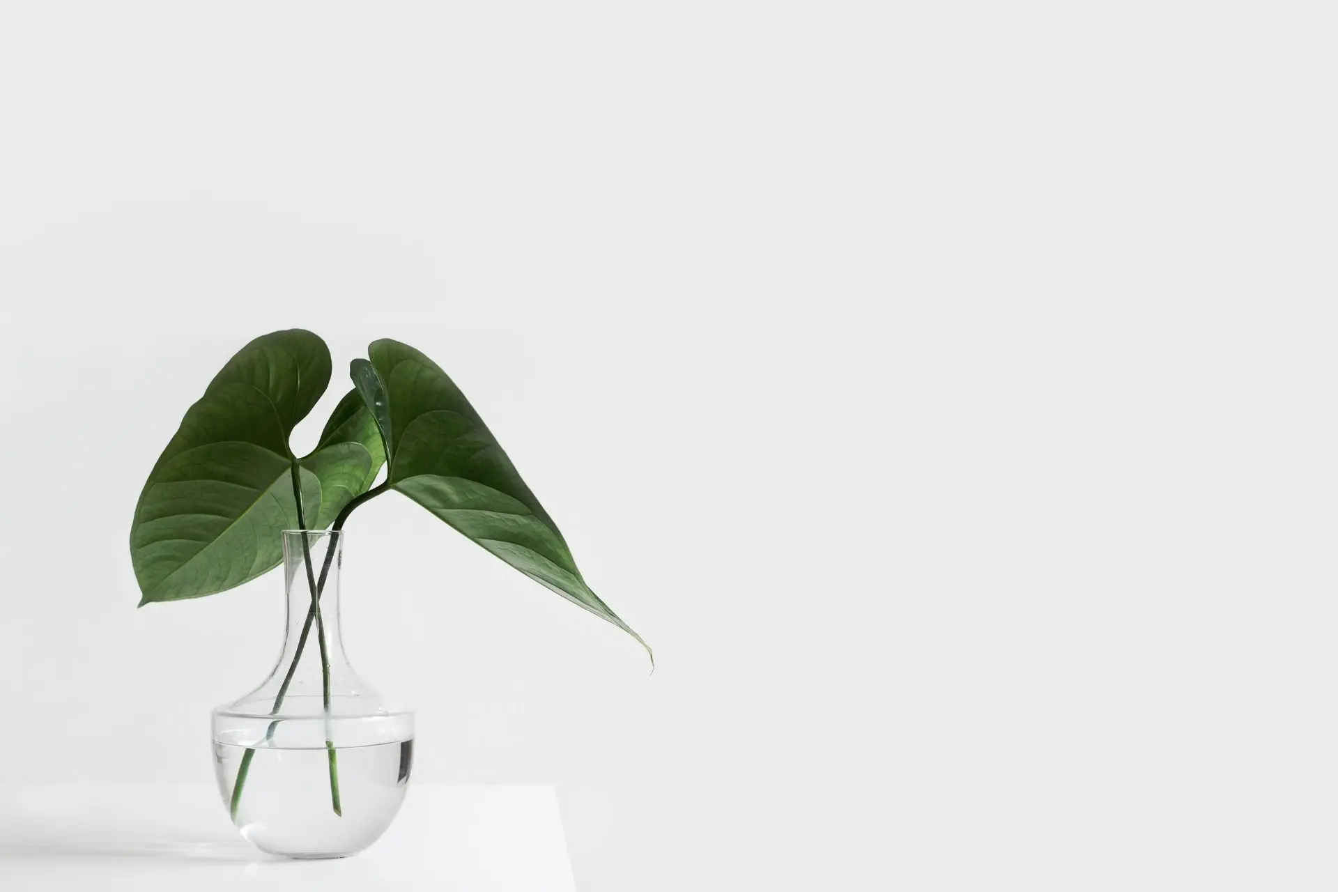 8-eco-friendly-practices-you-can-add-to-your-life-now
