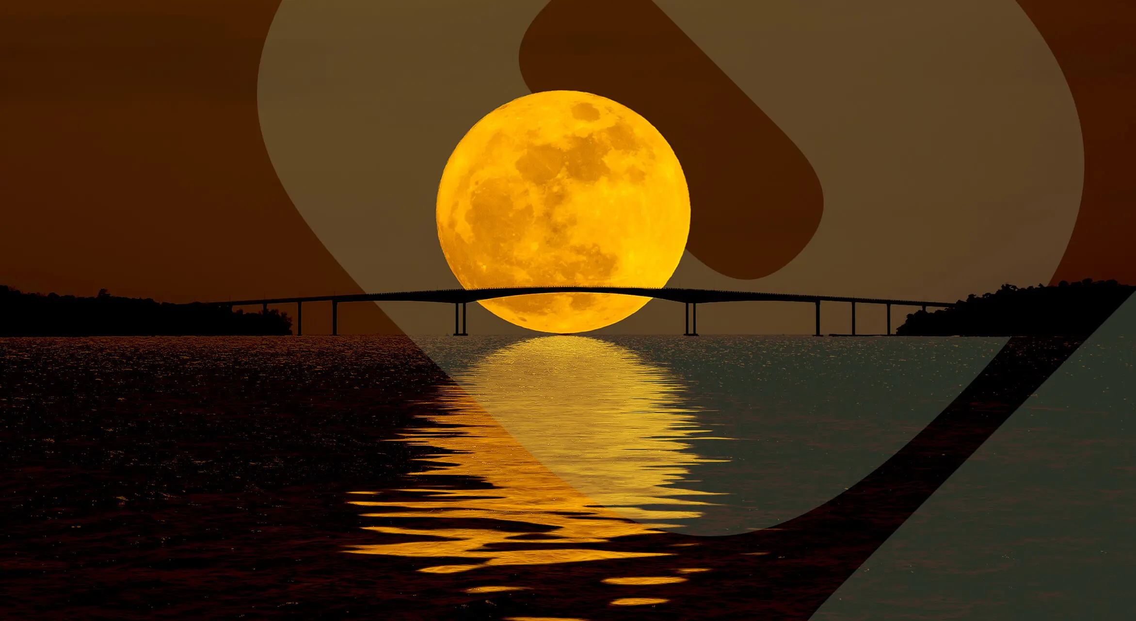 Faeature-how-does-the-moon-cause-tides