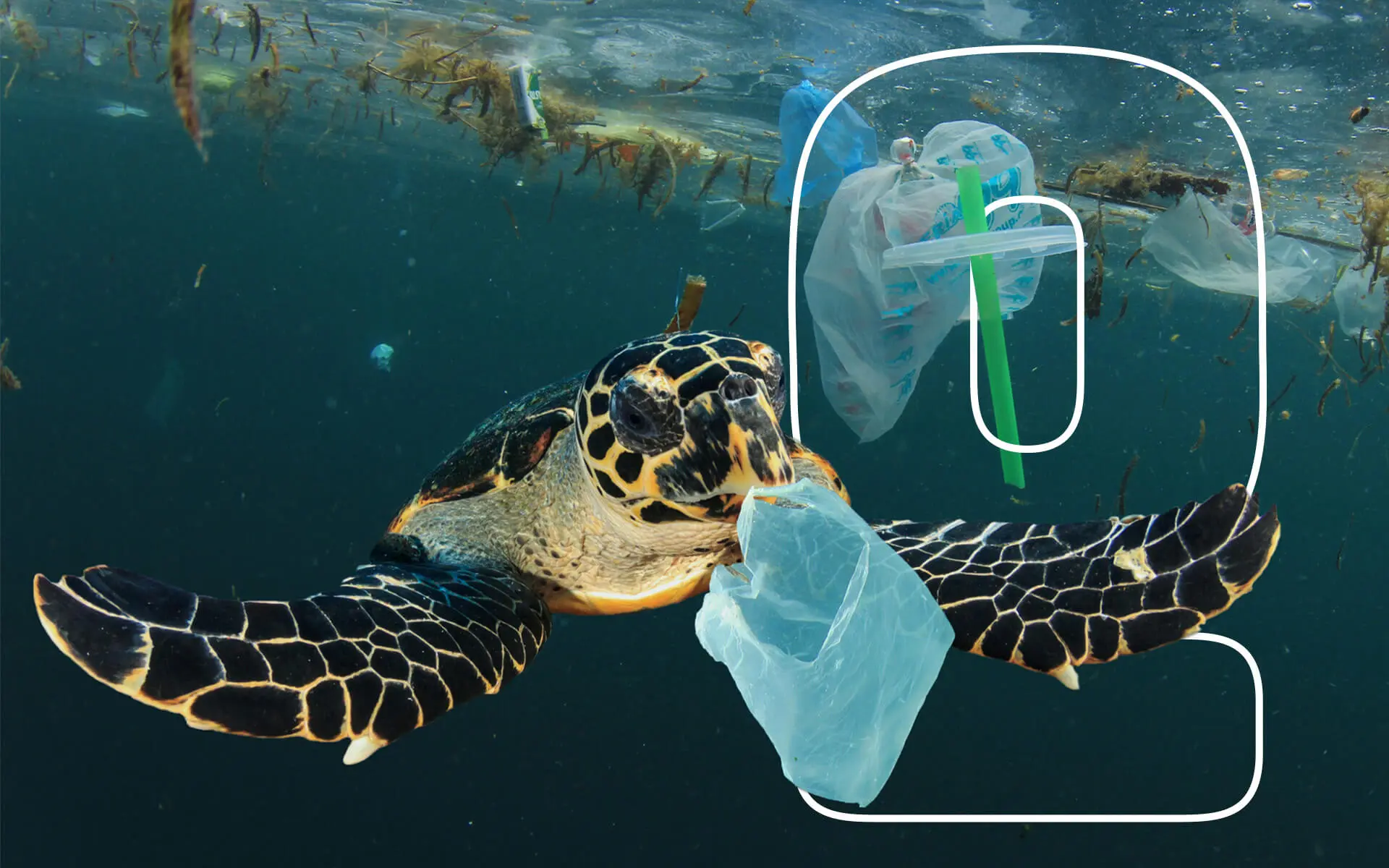 Feature-7-Types-of-Pollution-Everyone-Should-Understand