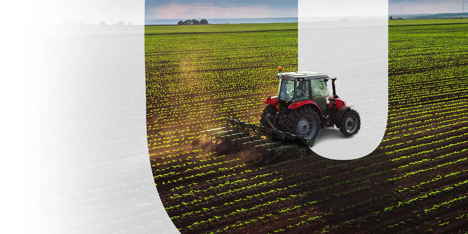 Feature-Different-Types-of-Agriculture-in-Sustainable-Production