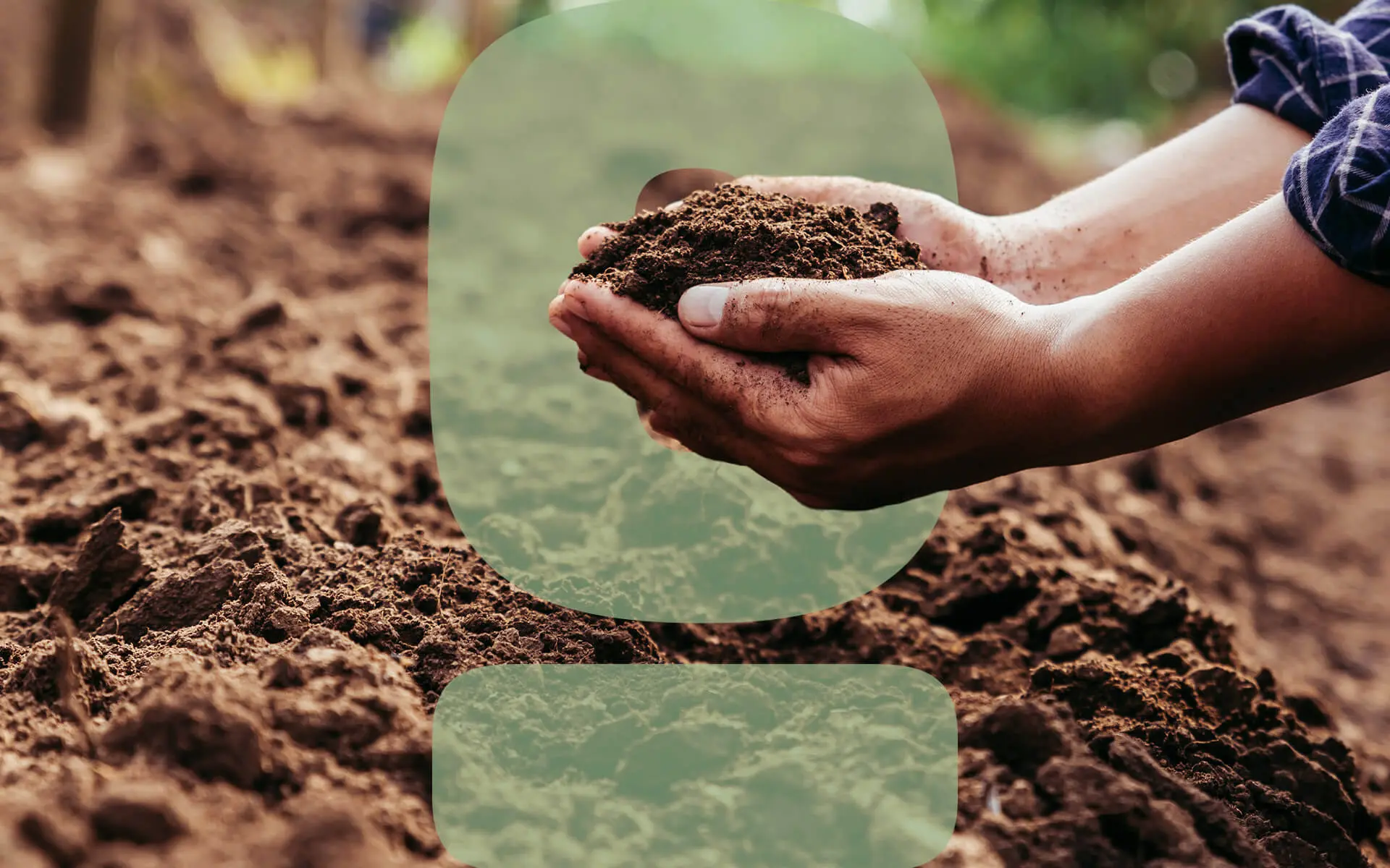 Feature-How-to-Use-Compost-in-Your-Garden-