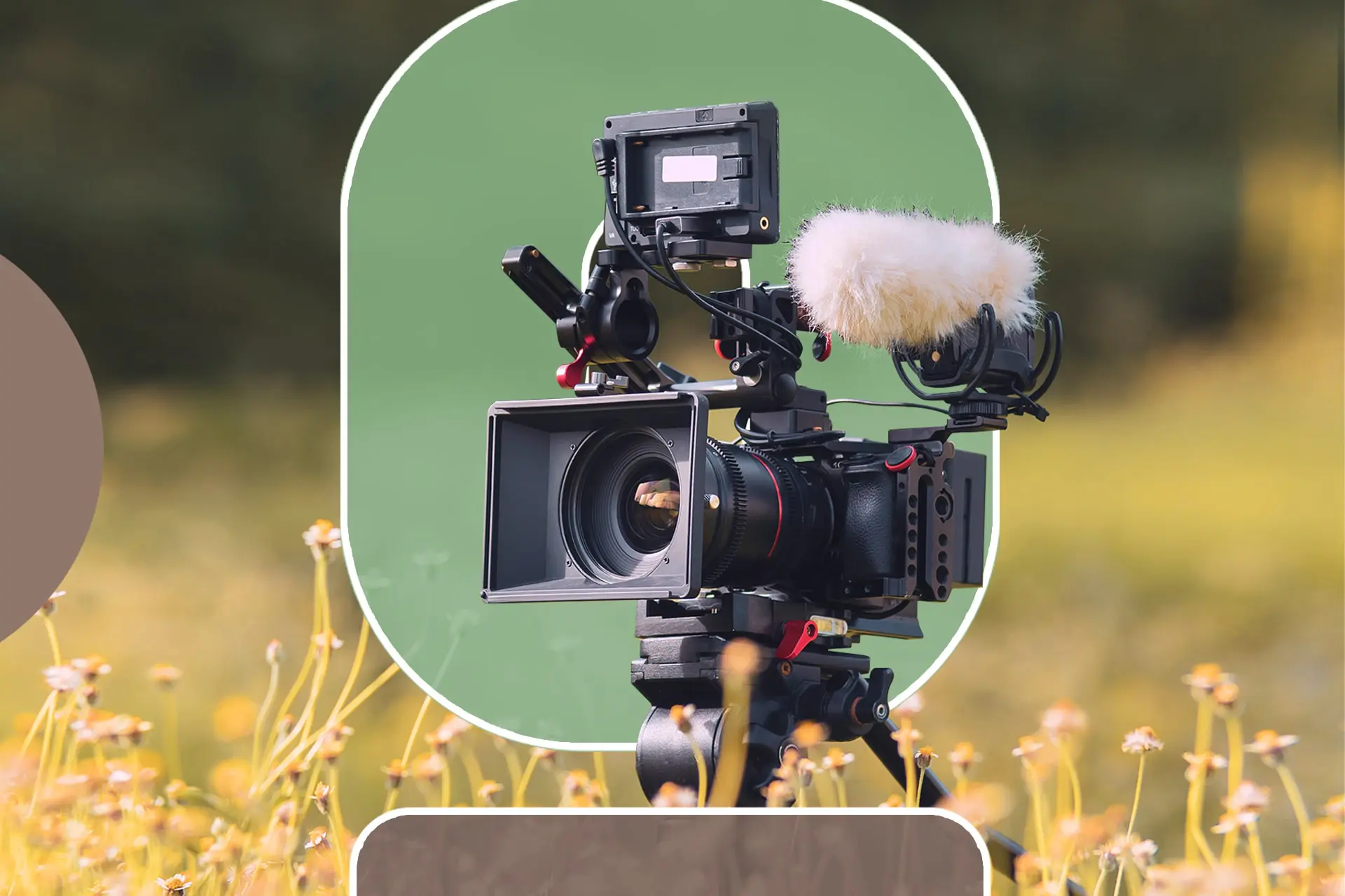 Feature-Images-7-Environmental-Documentaries-to-Binge-Now-min