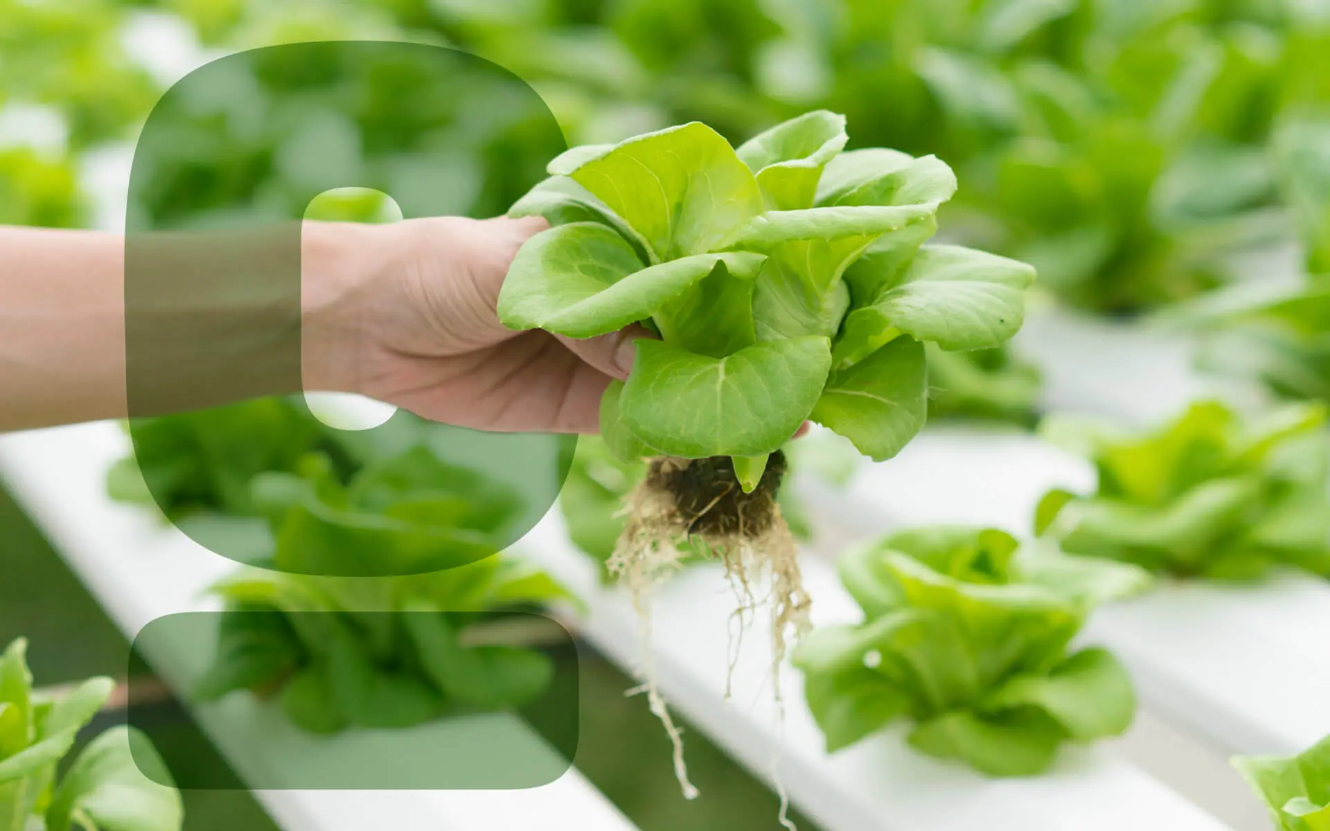 Feature-The-Top-Sustainable-Food-Companies