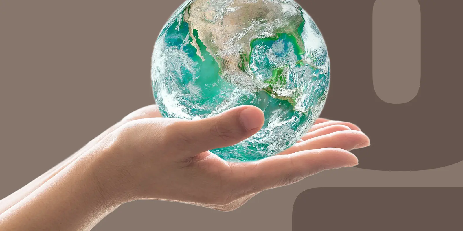 Feature-Why-is-Biodiversity-Important-to-Ecosystems