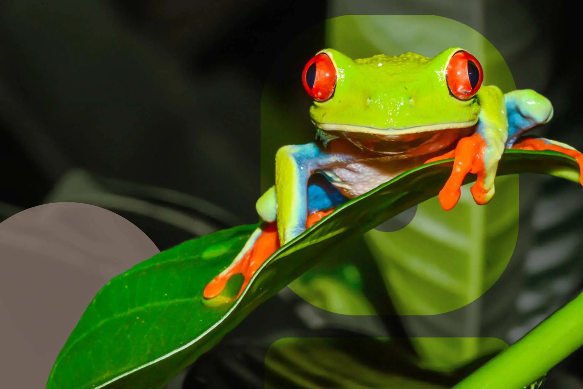 Featured-Biodiversity-and-Climate-Change