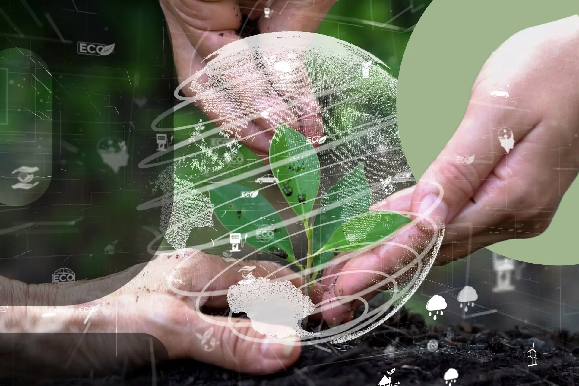 Featured-Examples-of-Climate-Change-Policies-Around-the-World-copy