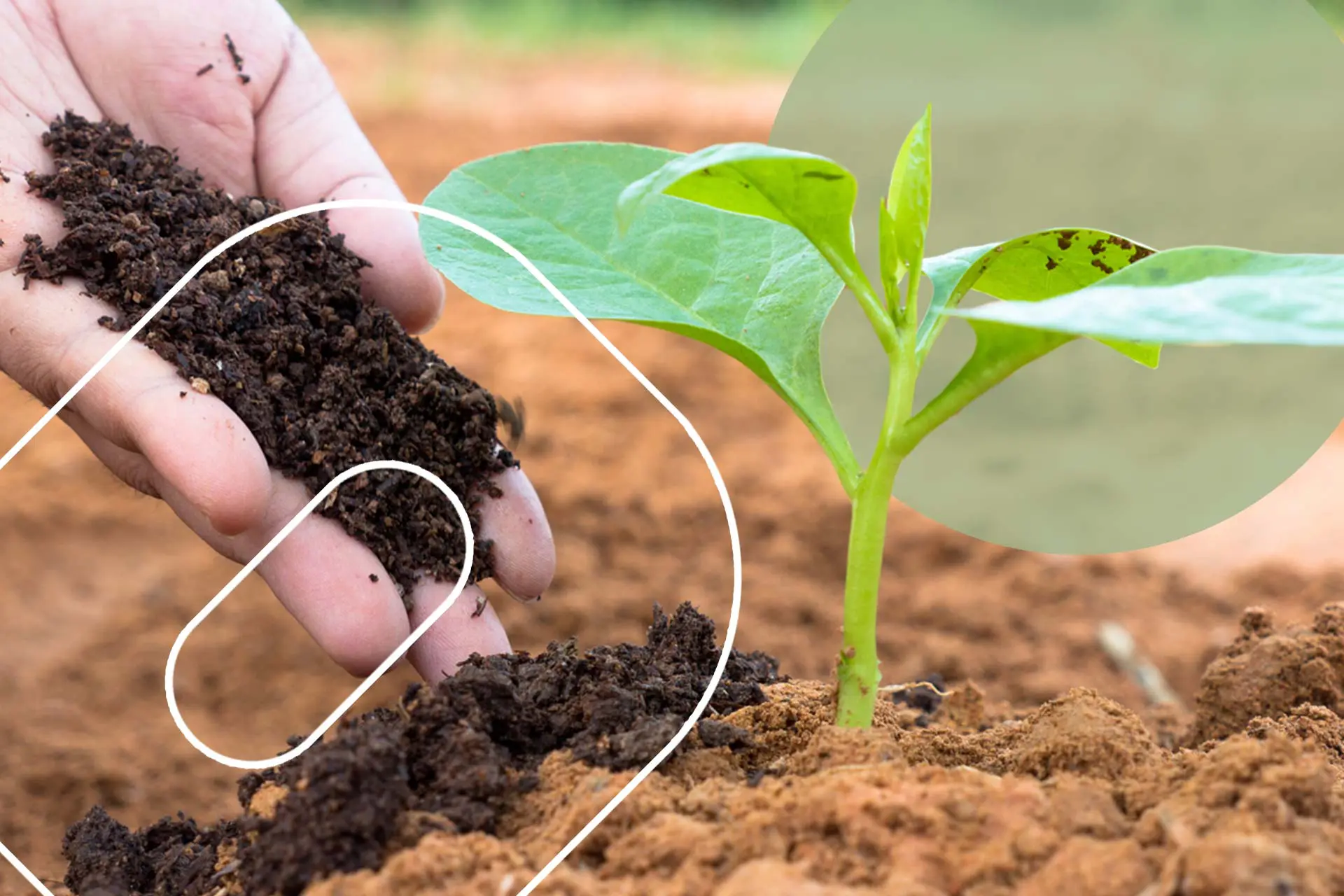 Featured-How-Does-Composting-Work