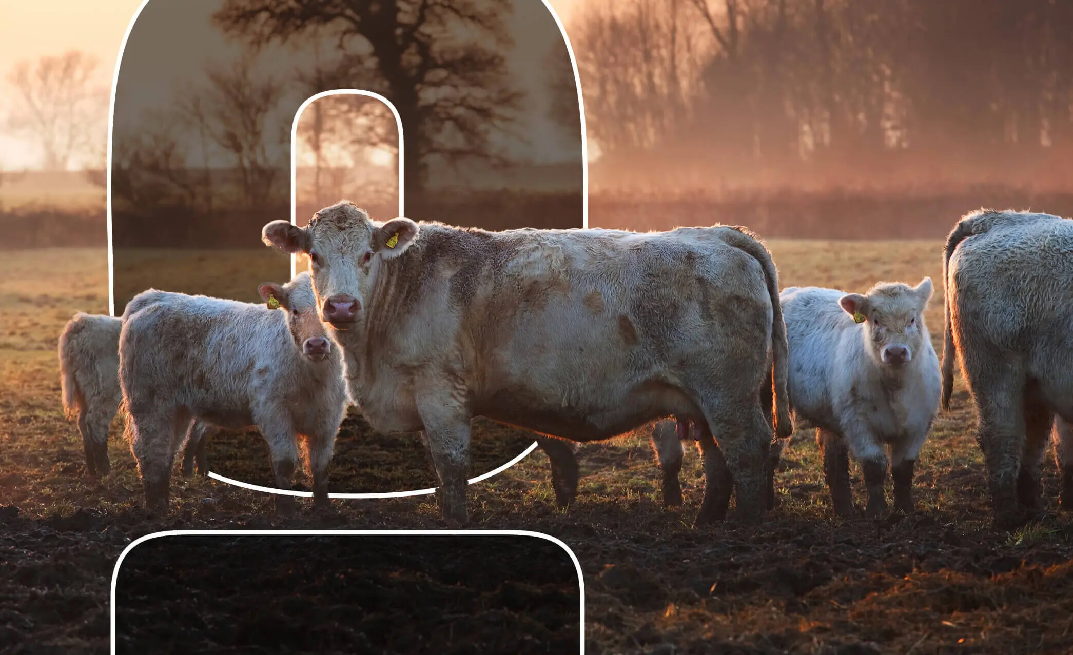 Featured-how-do-climate-change-and-livestock-affect-each-other-e1681327896131