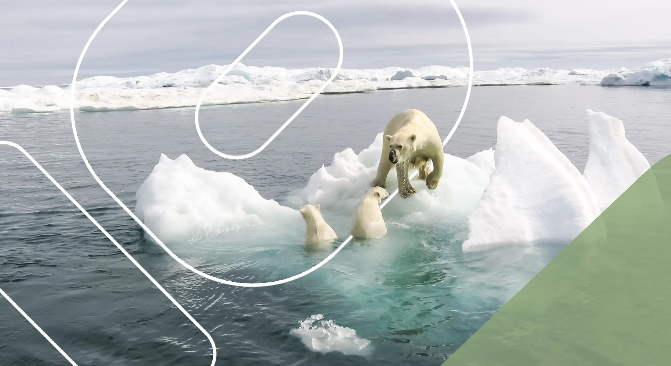 How-Does-Climate-Change-Affect-Plants-and-Animals