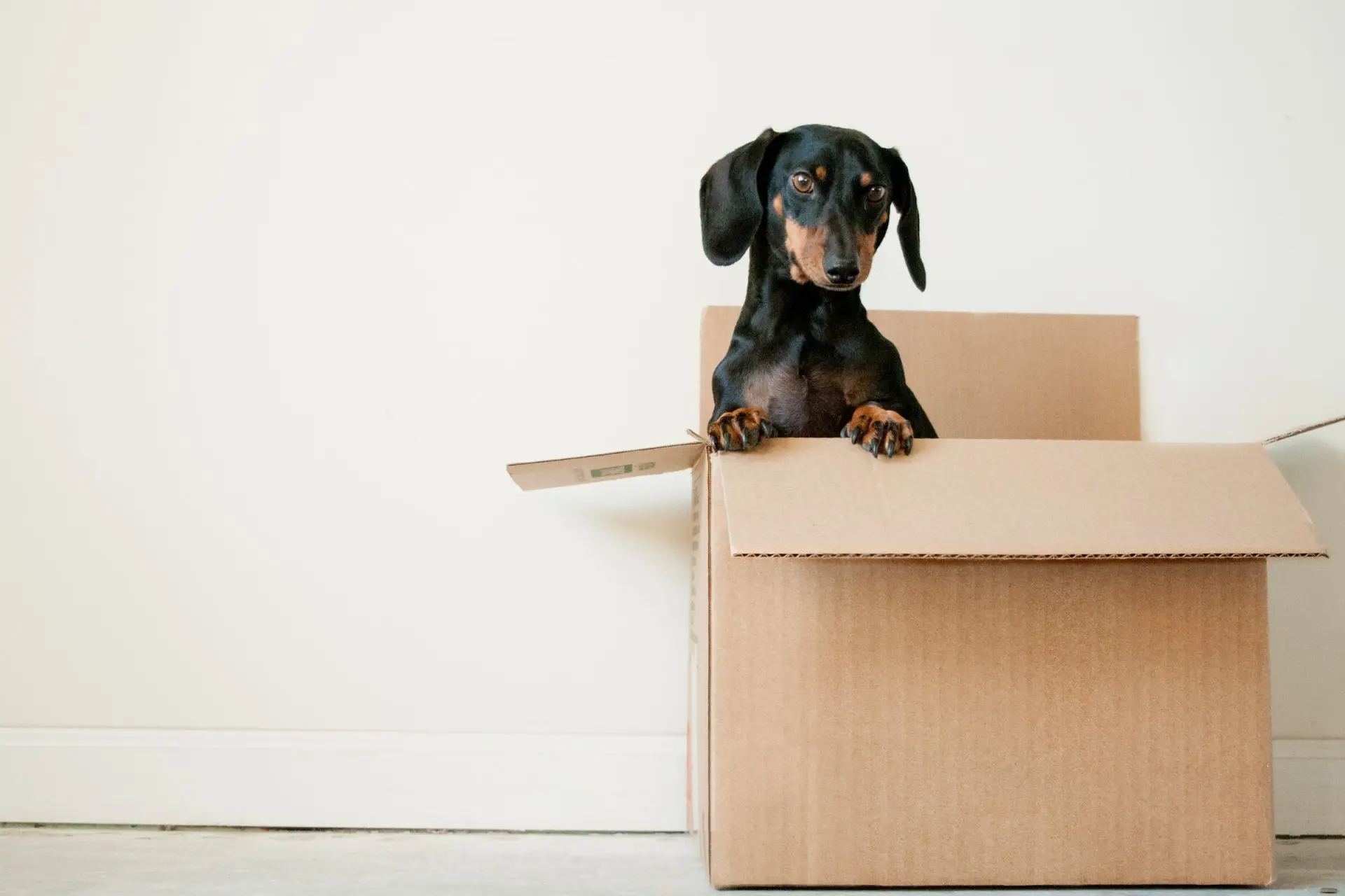 Implementing-Sustainable-Packaging-for-Small-Businesses