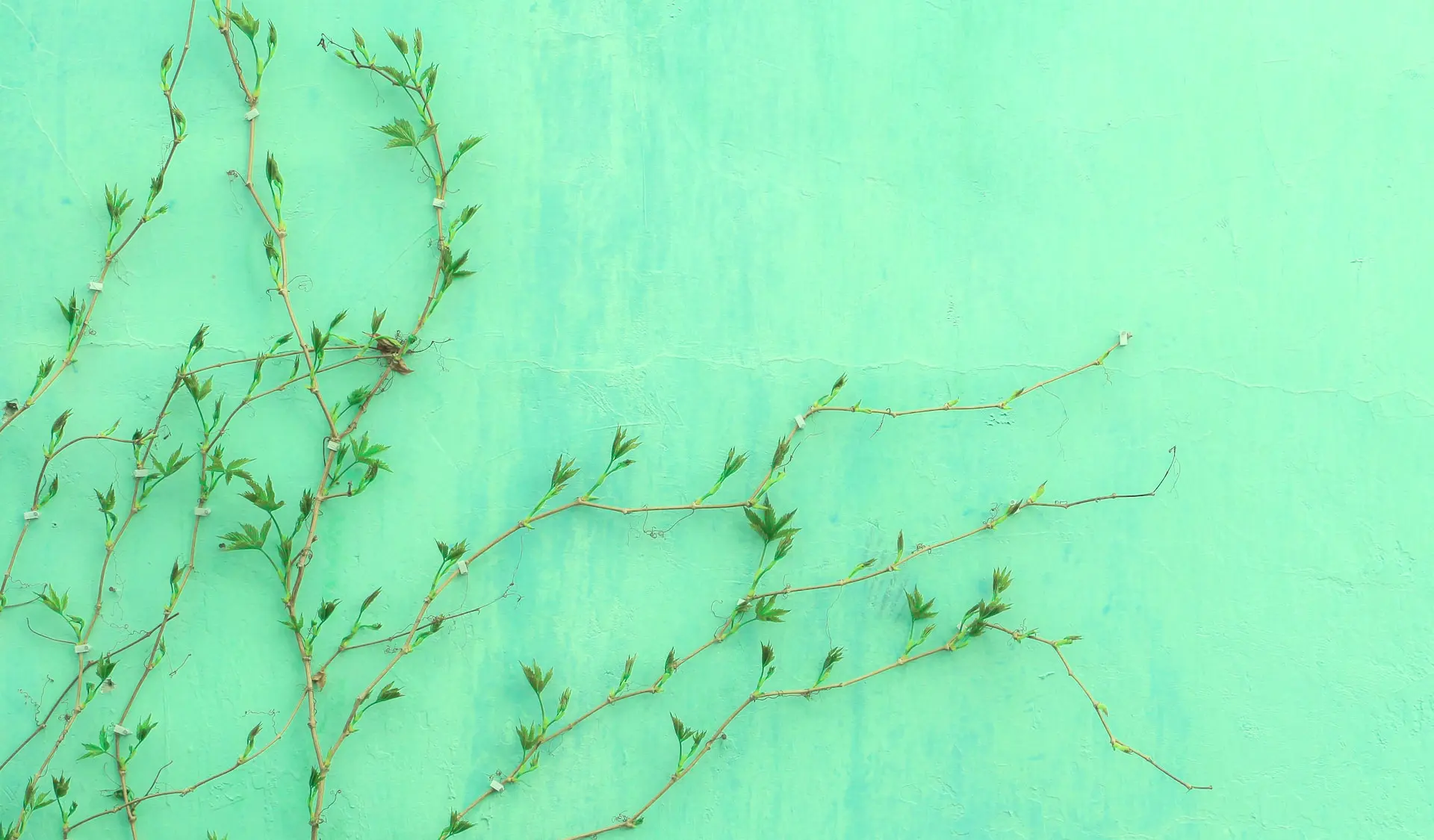 Sustainability-hacks