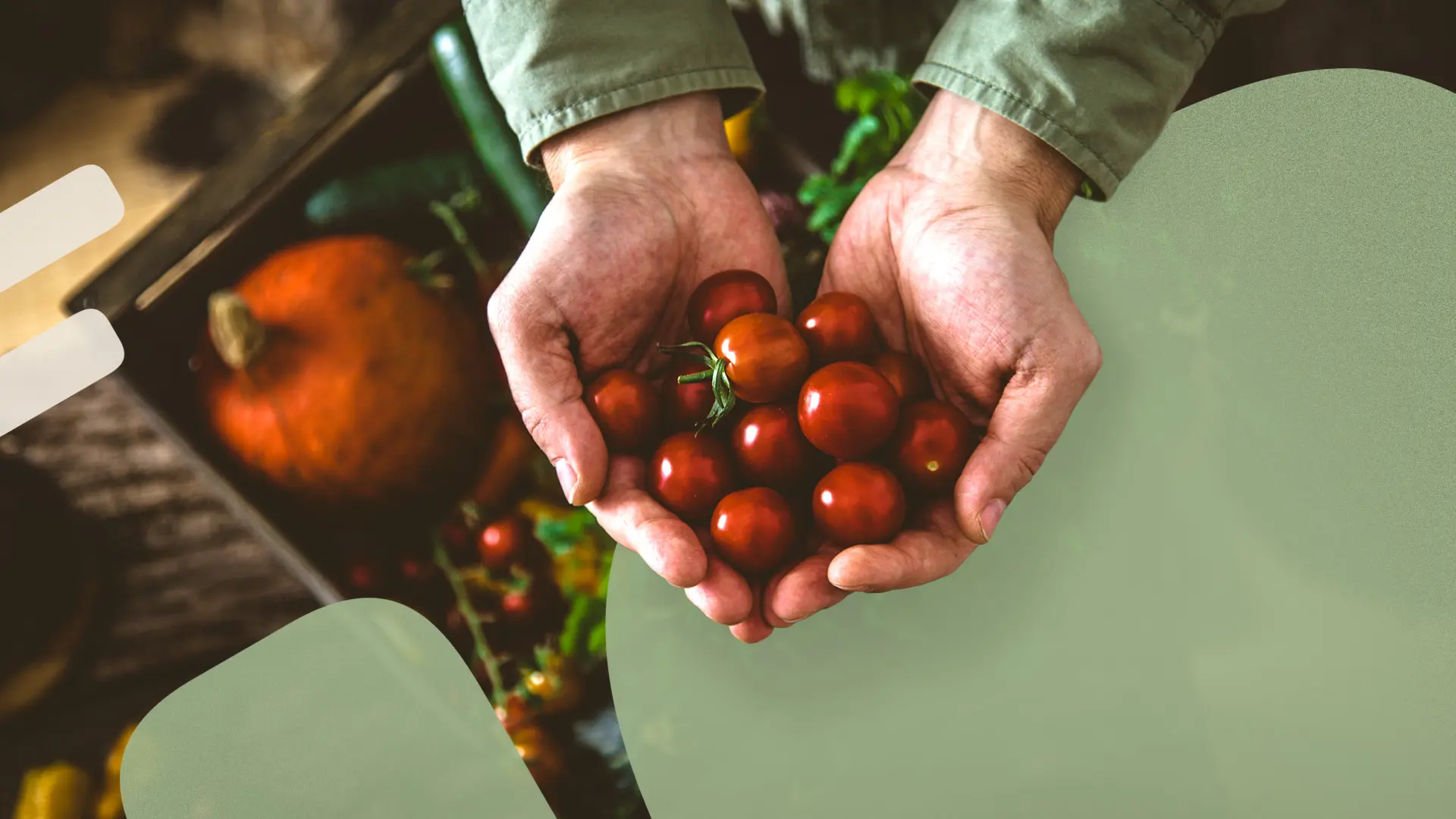Sustainable-Food-Practices-Featured-1