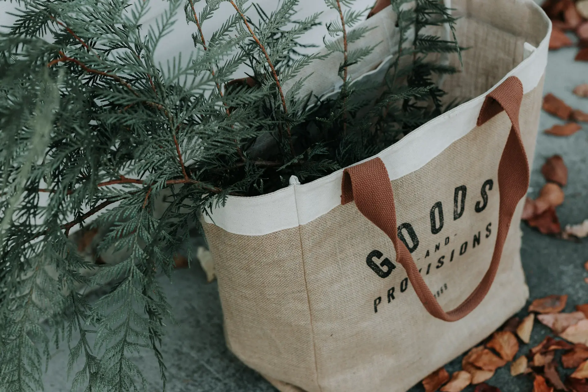 What-Is-Sustainability-Marketing-and-How-Do-Companies-Apply-It