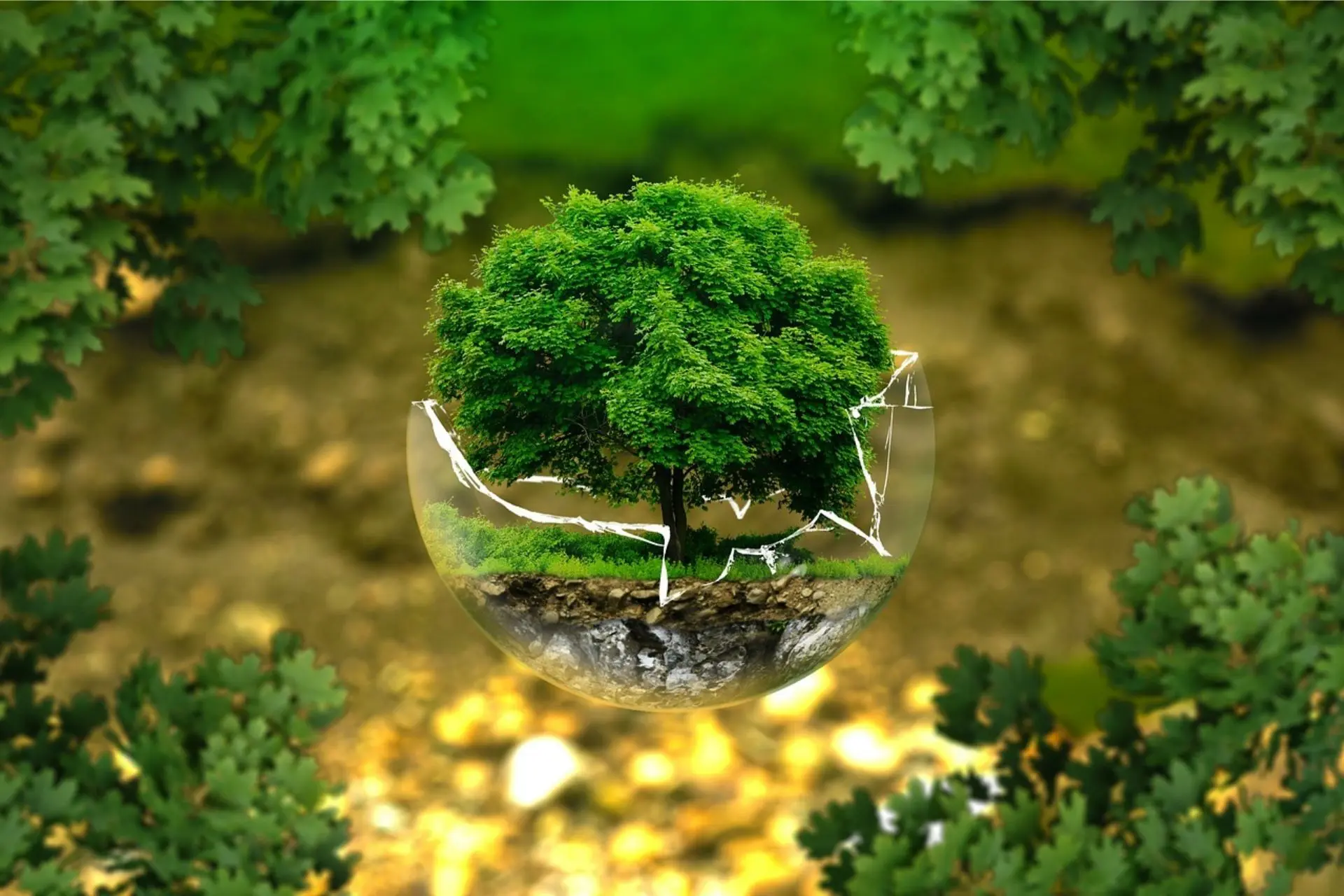 What-Is-Sustainability