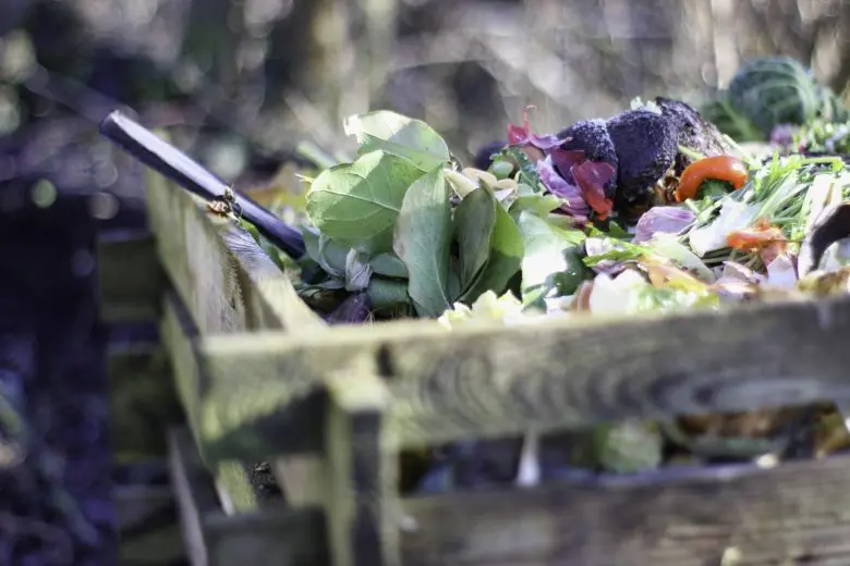 agricultural_waste_1578060890-e1578060901298