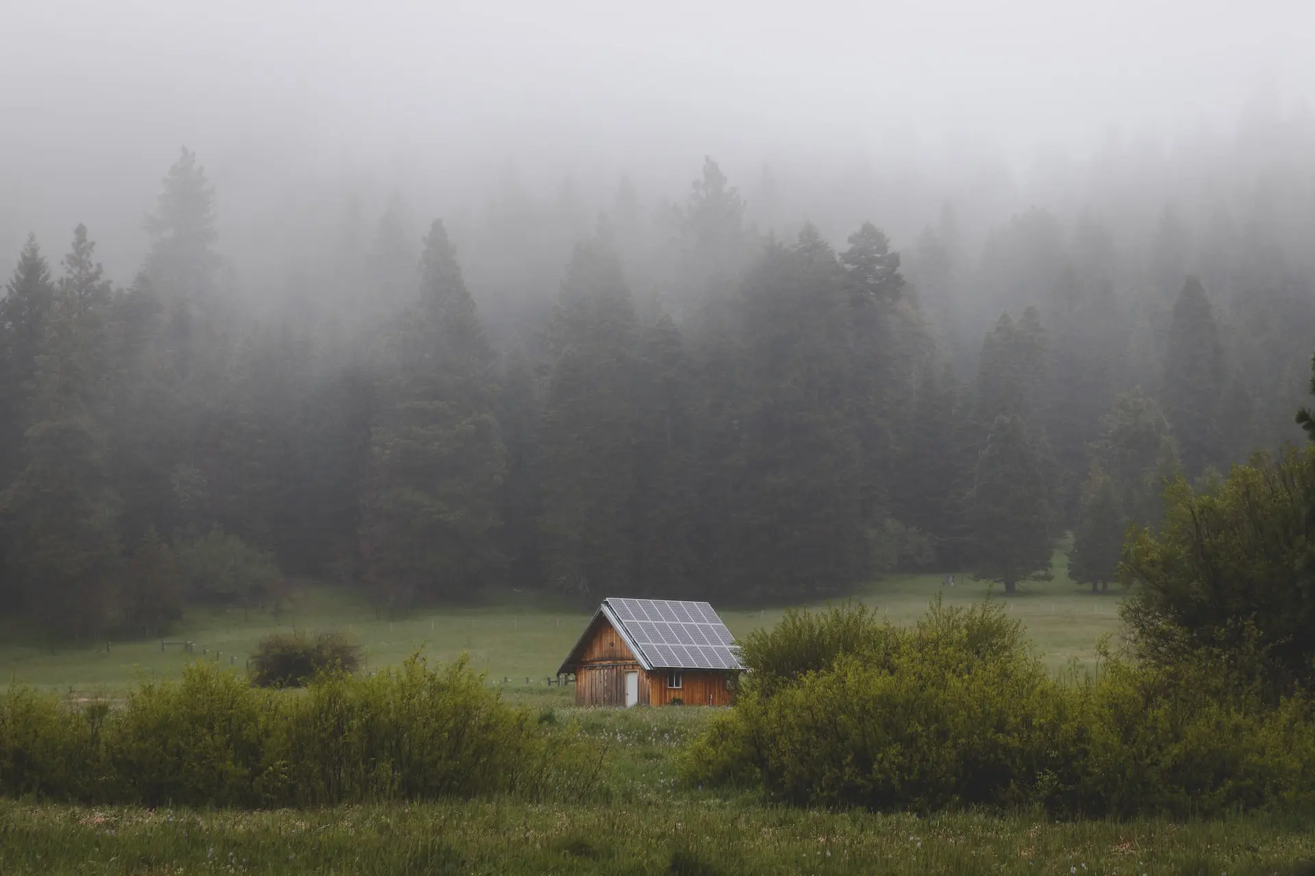 alex-bierwagen-Uuz7yti7SQA-unsplash