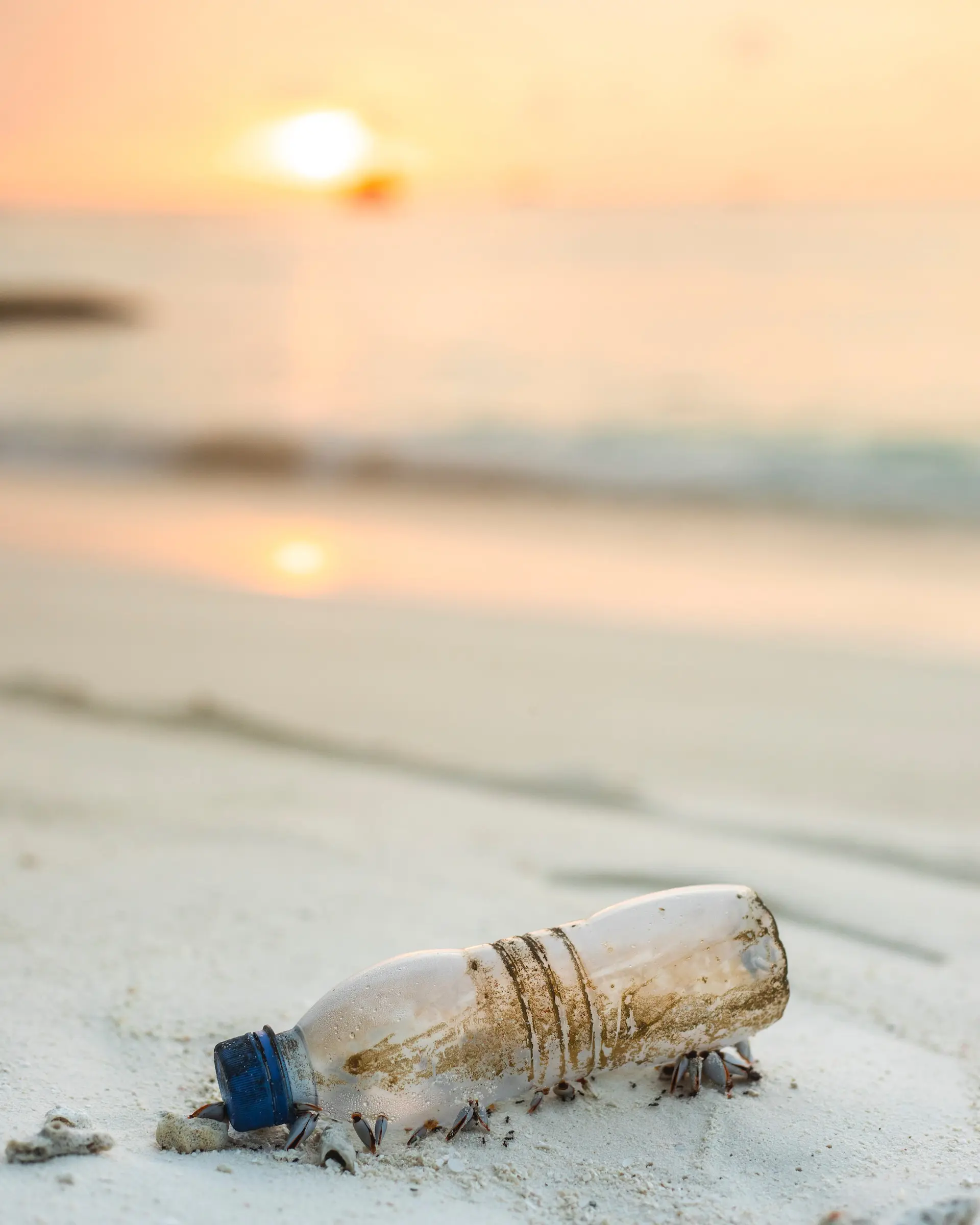 algae-water-bottle