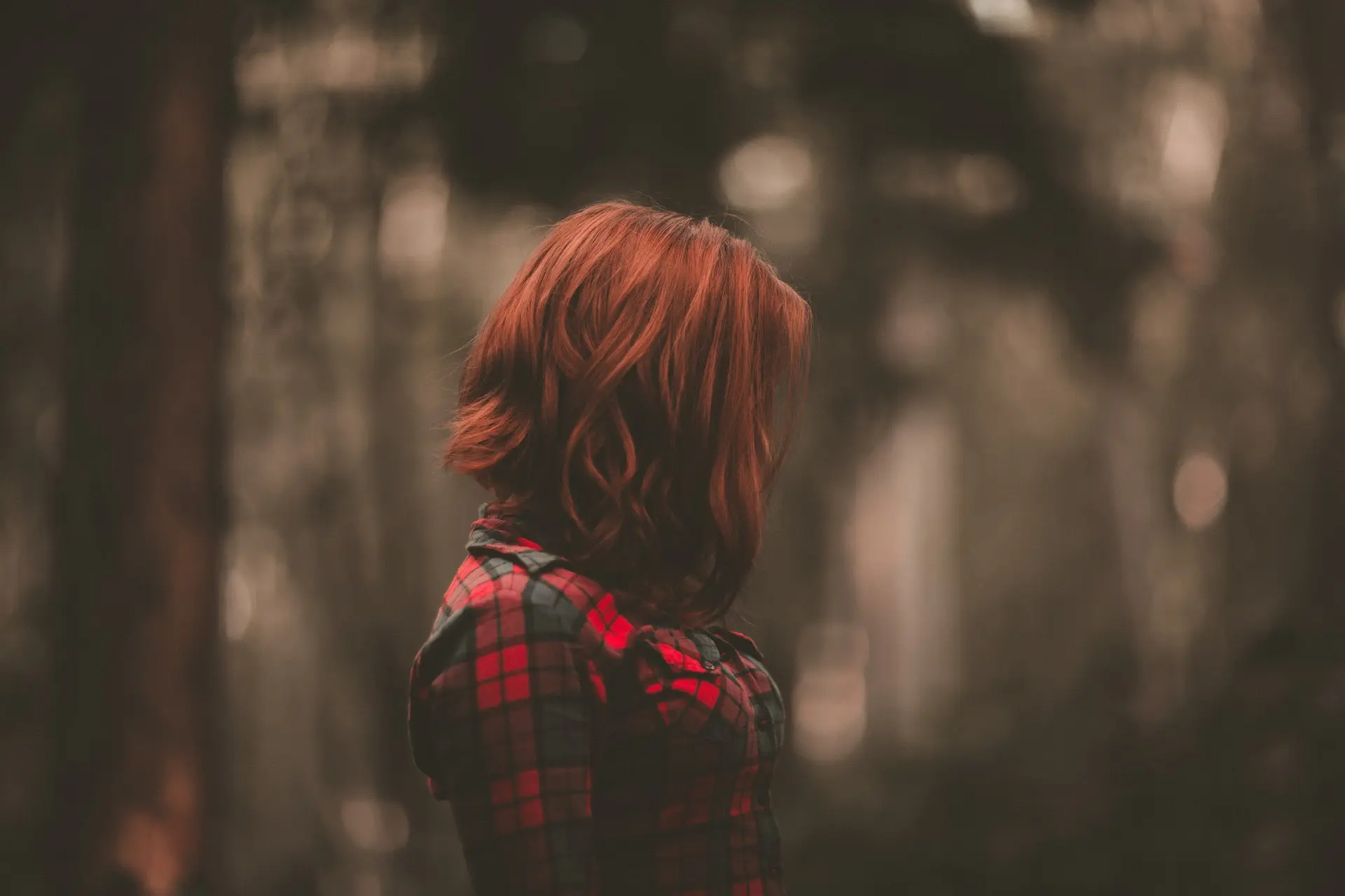 allef-vinicius-FPDGV38N2mo-unsplash