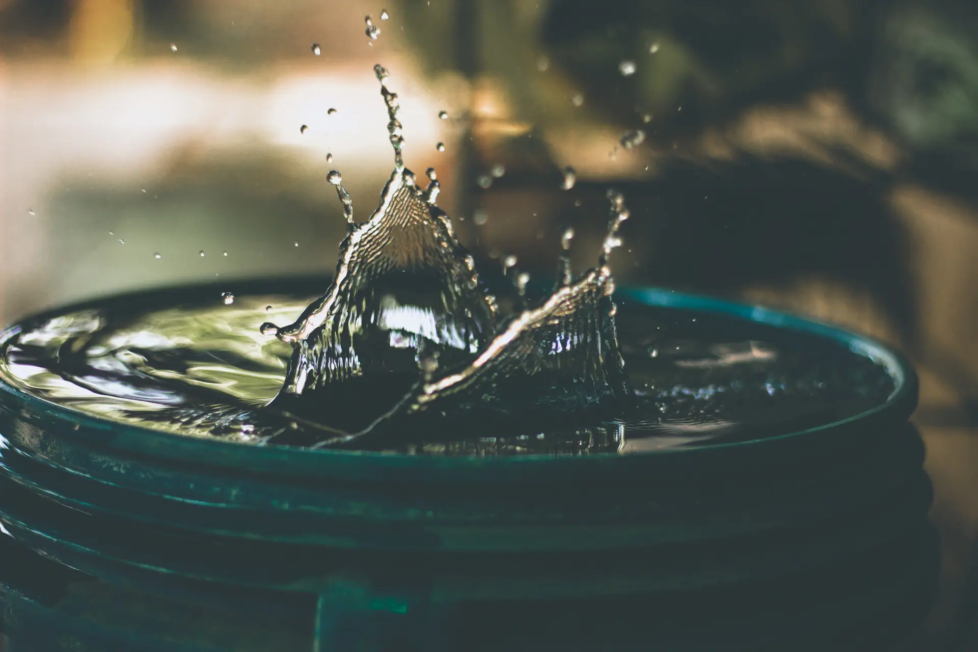 amritanshu-sikdar-LoGnr-w1D8E-unsplash-1