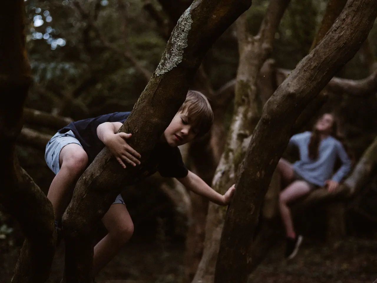 annie-spratt-JUIieIDu54-unsplash