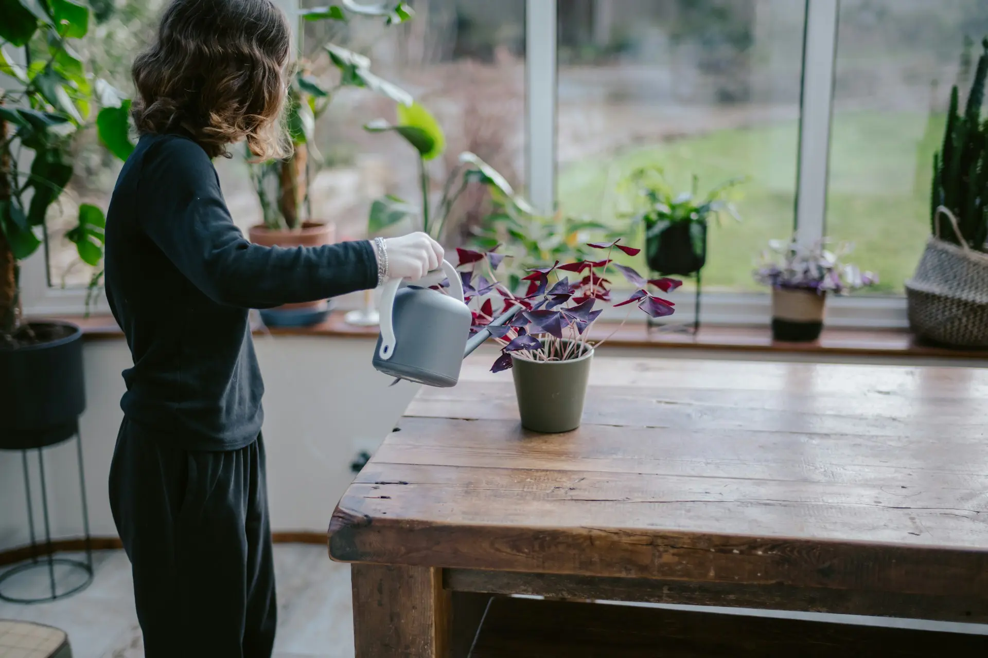 annie-spratt-QseVBp3YtG4-unsplash