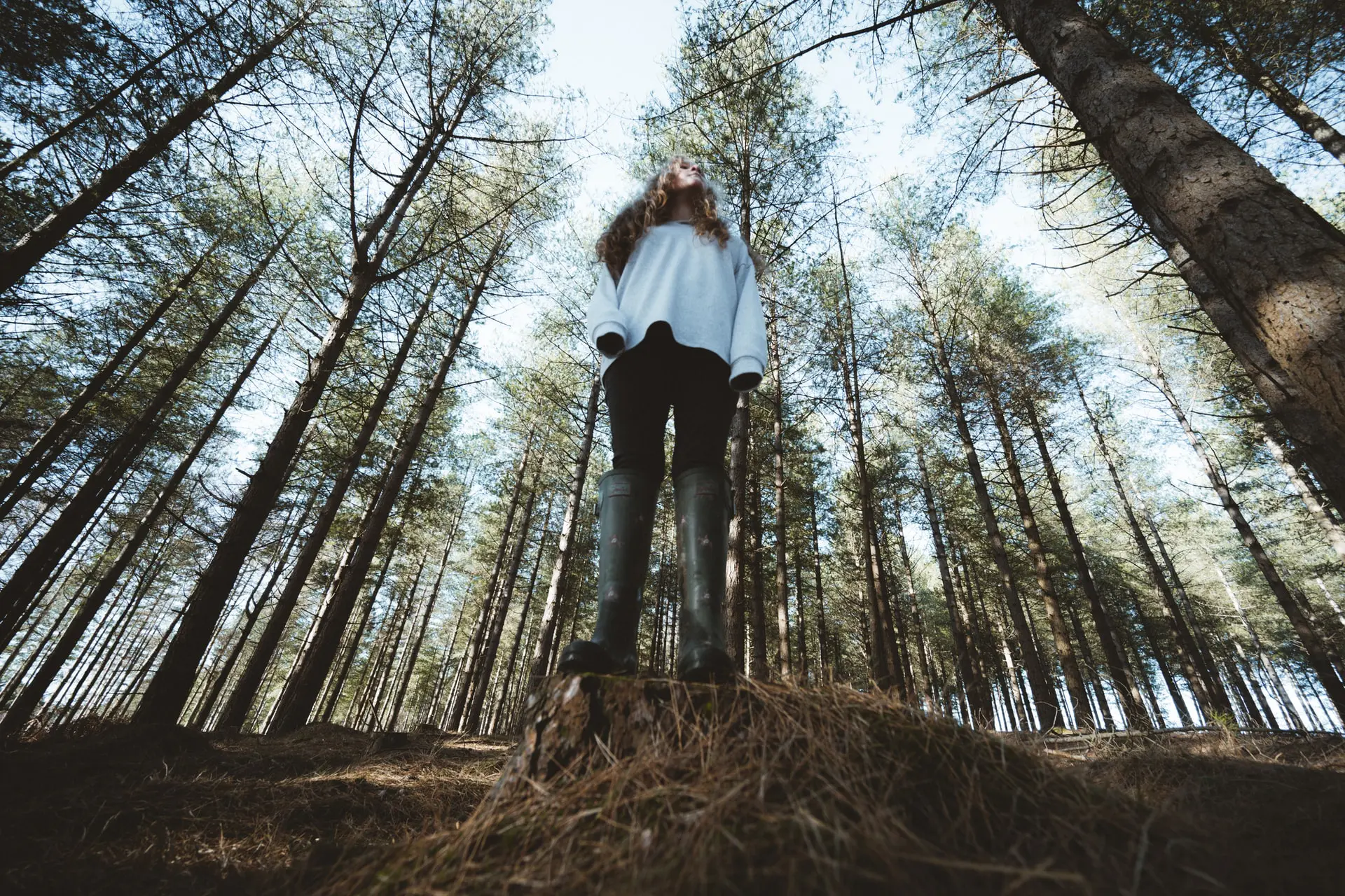 annie-spratt-xP-a1dyLhaU-unsplash