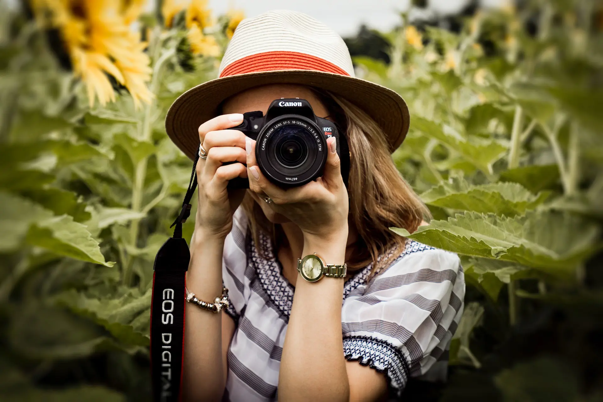 best-camera-for-wildlife-photography