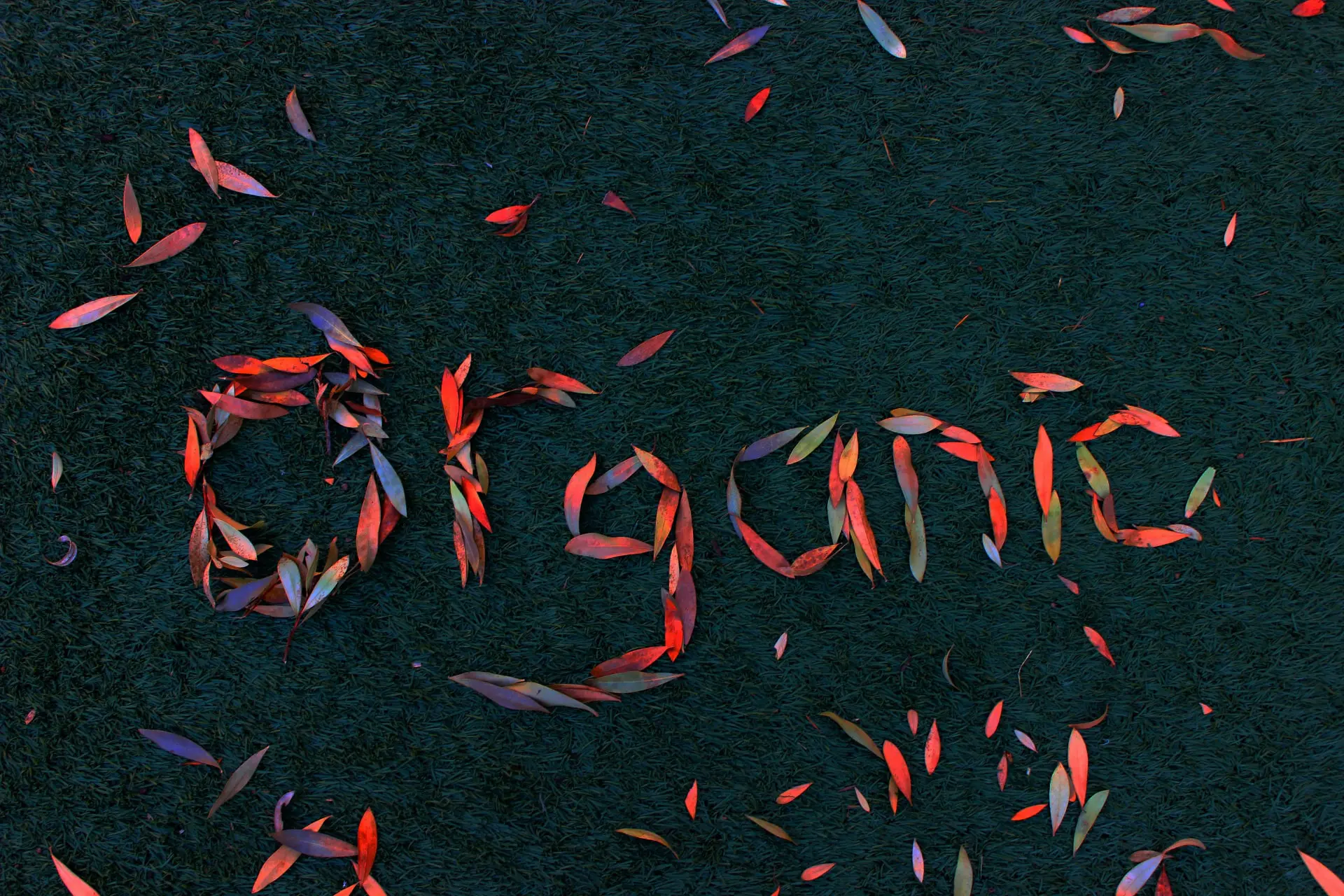 bethany-szentesi-c6zenQDVavc-unsplash-min
