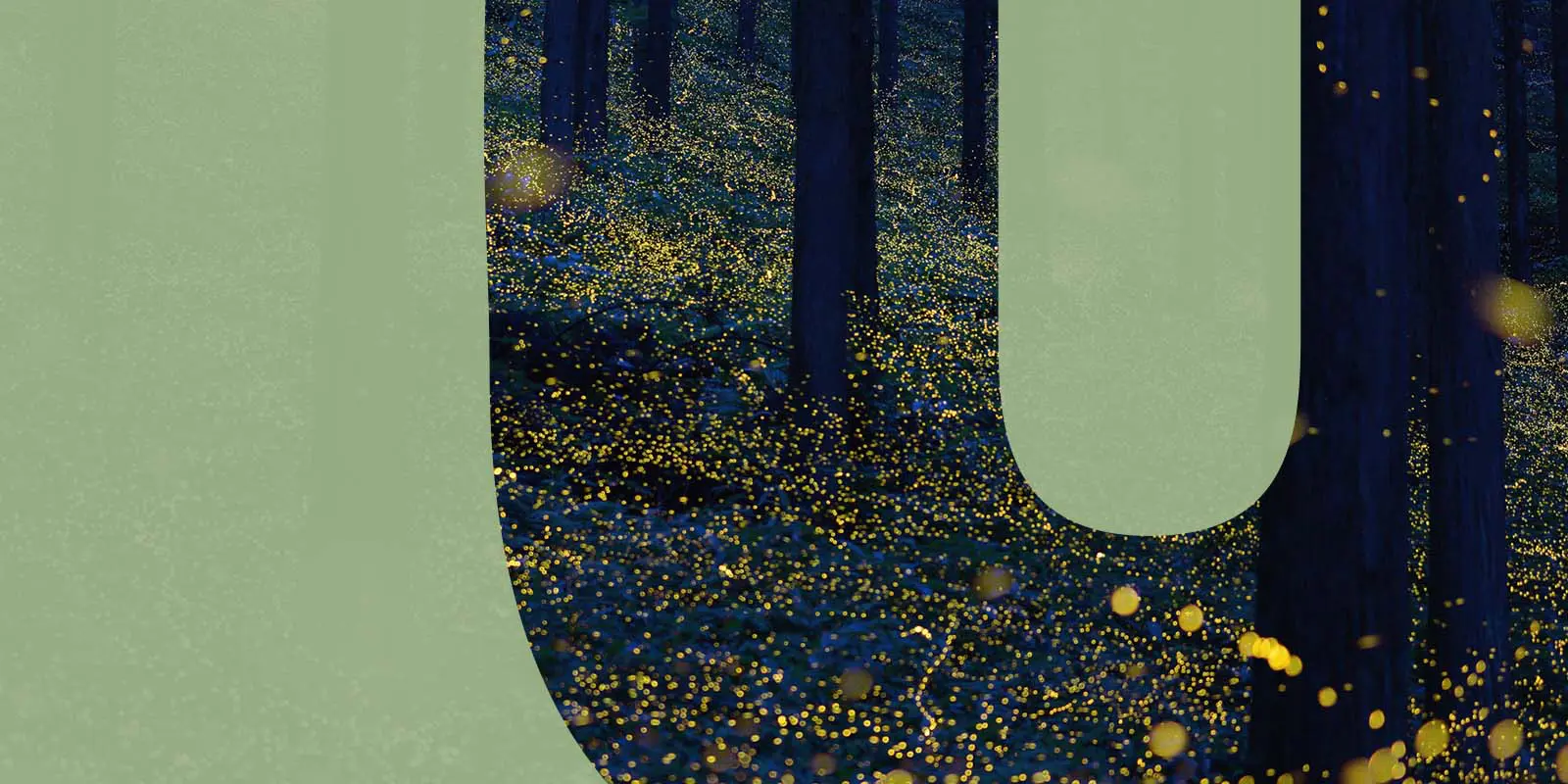 bioluminescence-trees