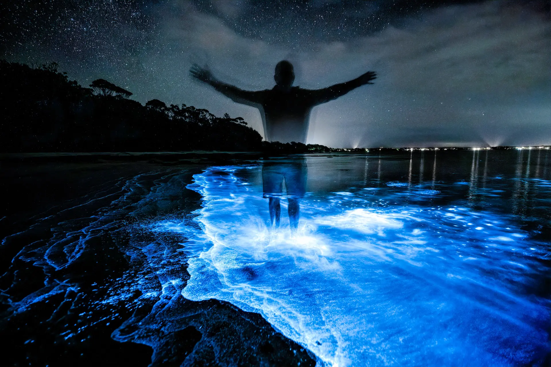 bioluminescent-algae