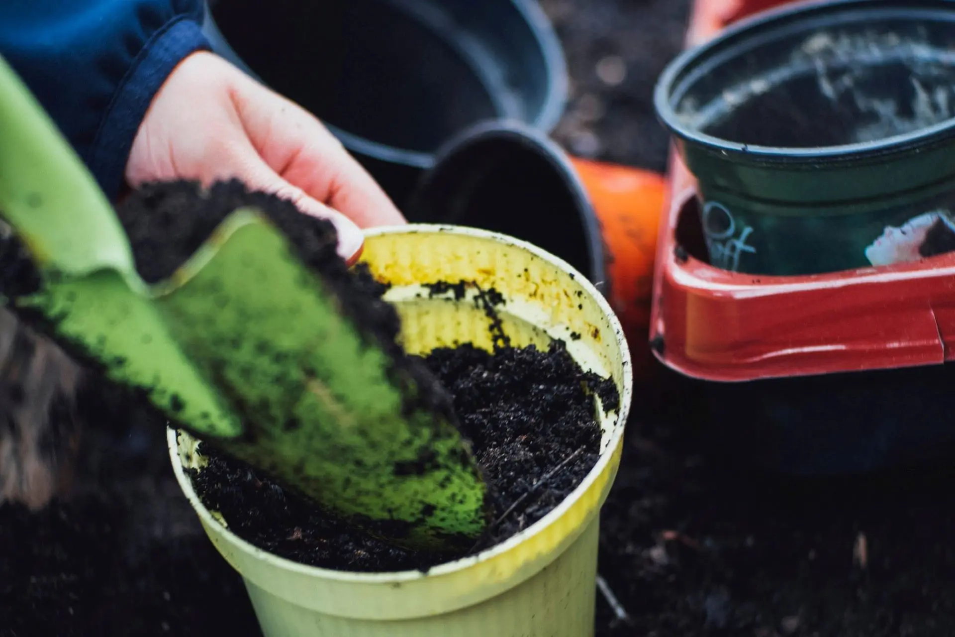 coffee-ground-garden