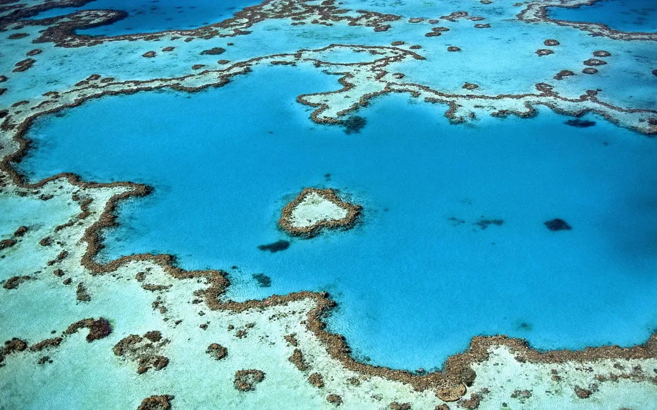 coral_reef_1533745426