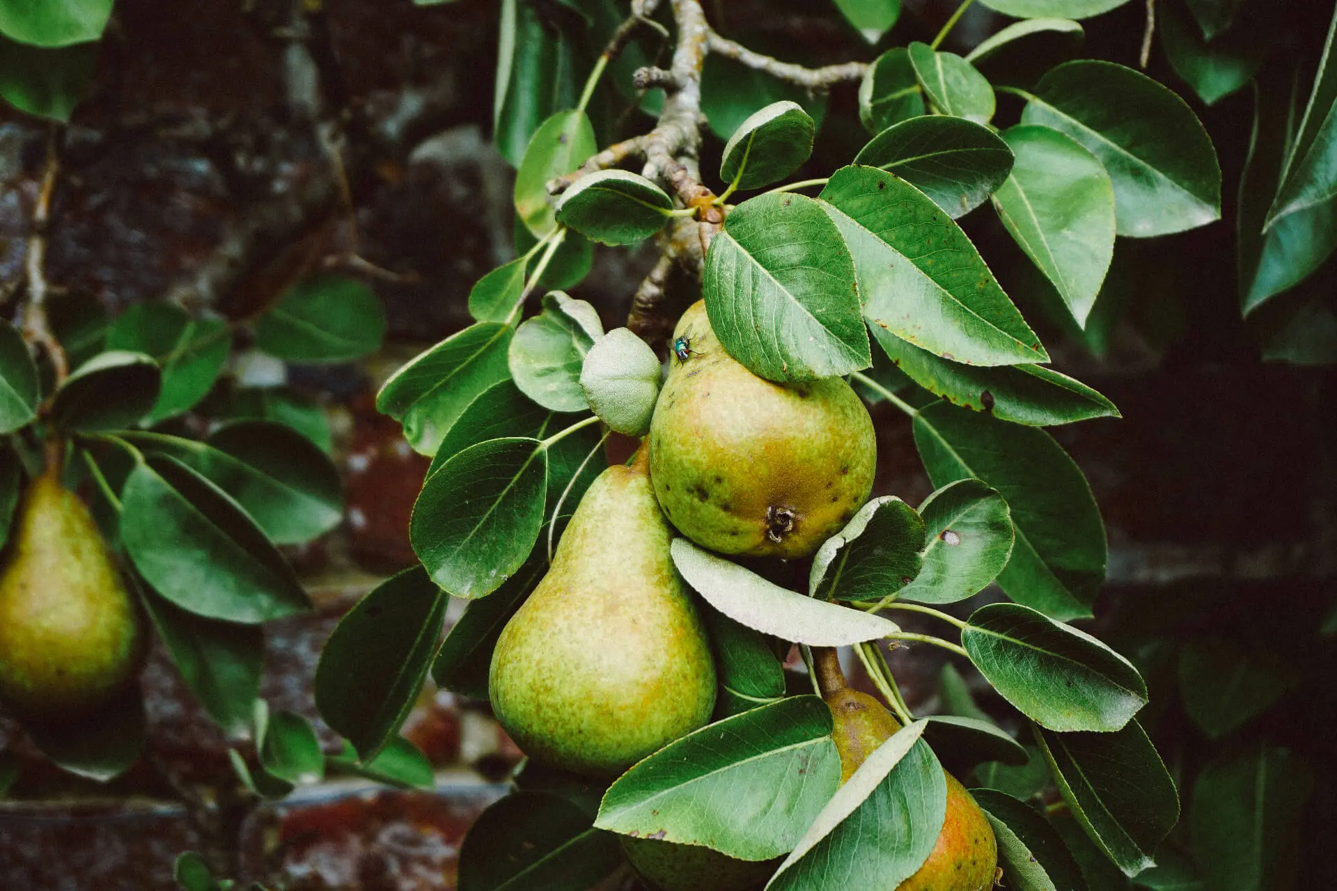 dan-gold-hXaHghBkEMQ-unsplash