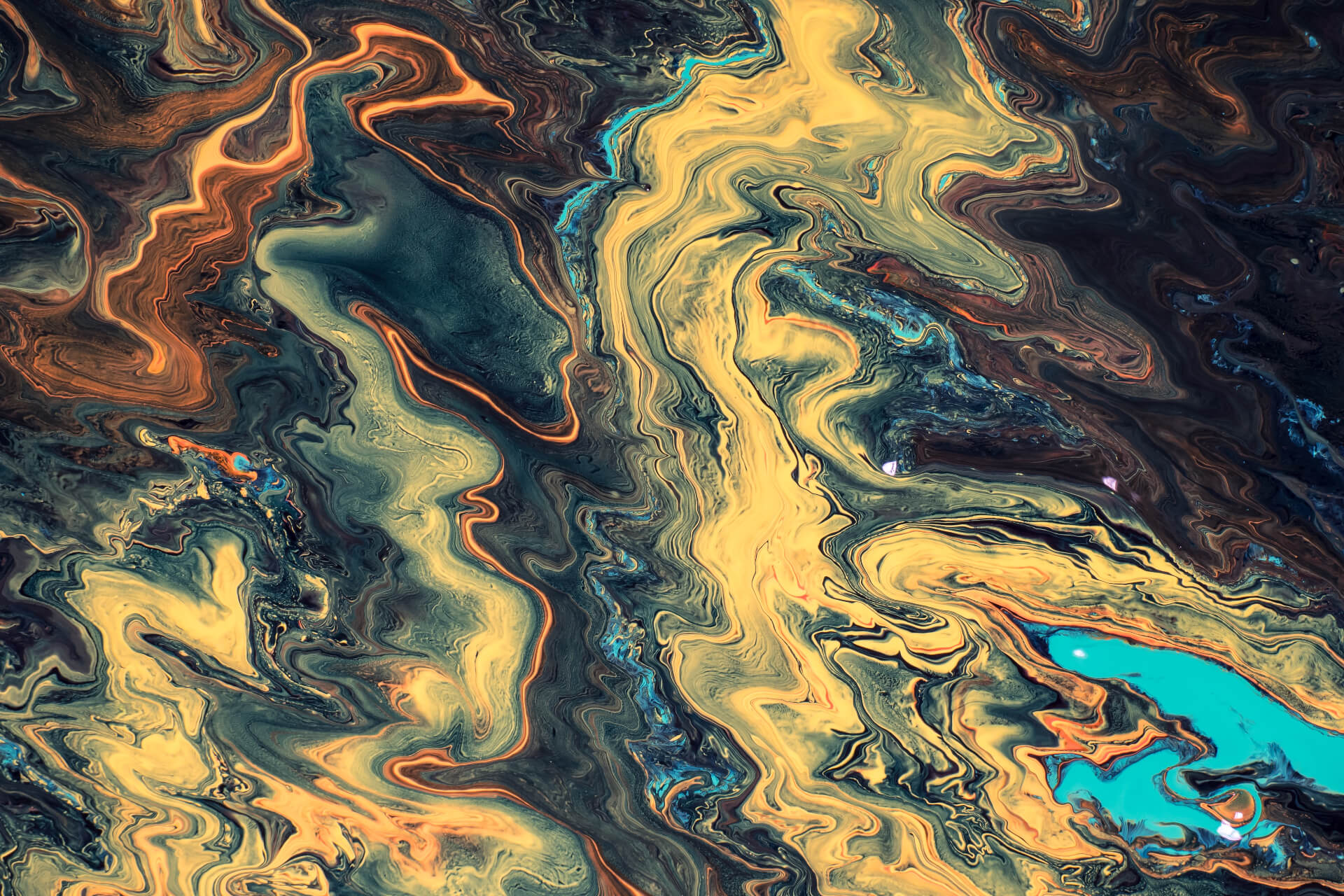 The Deepwater Horizon Wreck Still Leaves Oil's Mark on Waters - Environment