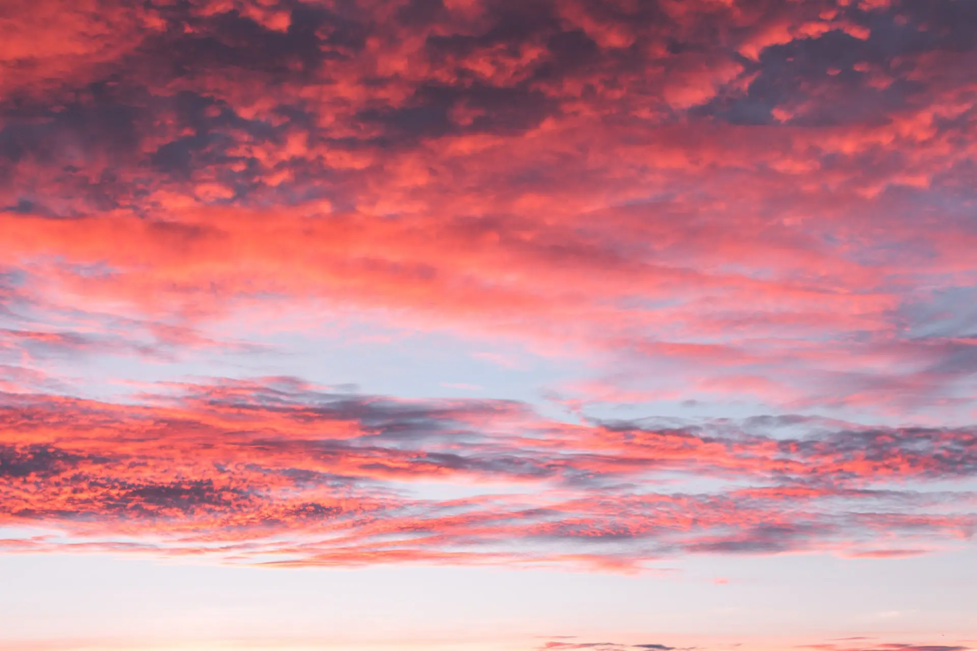 diego-ph-BCuxVP5WEsU-unsplash