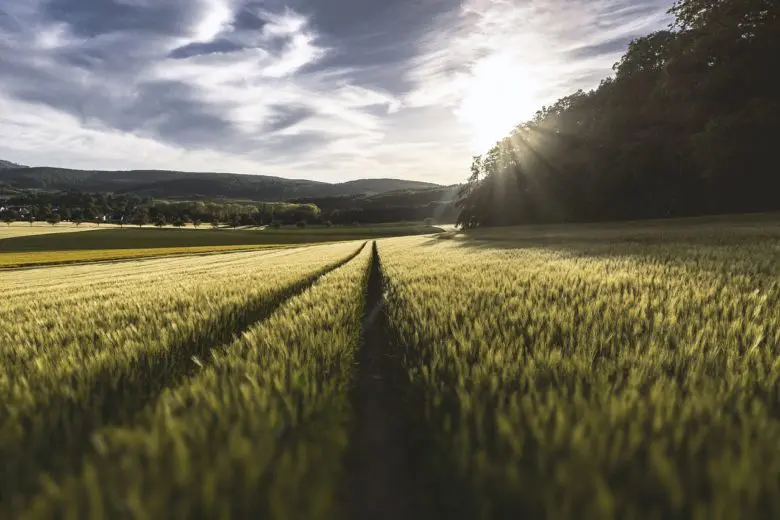 farm__1582660352-e1582660370623