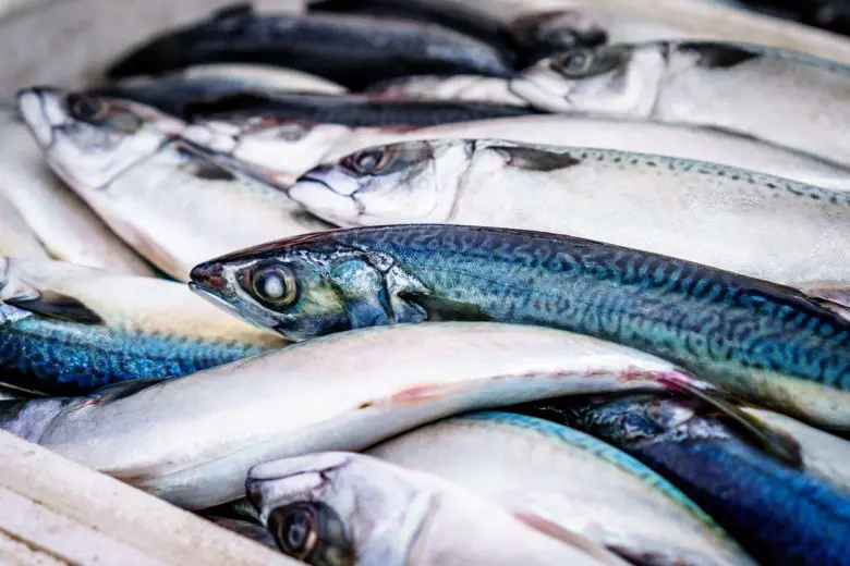 fish_farms_1517000887-e1517000930345