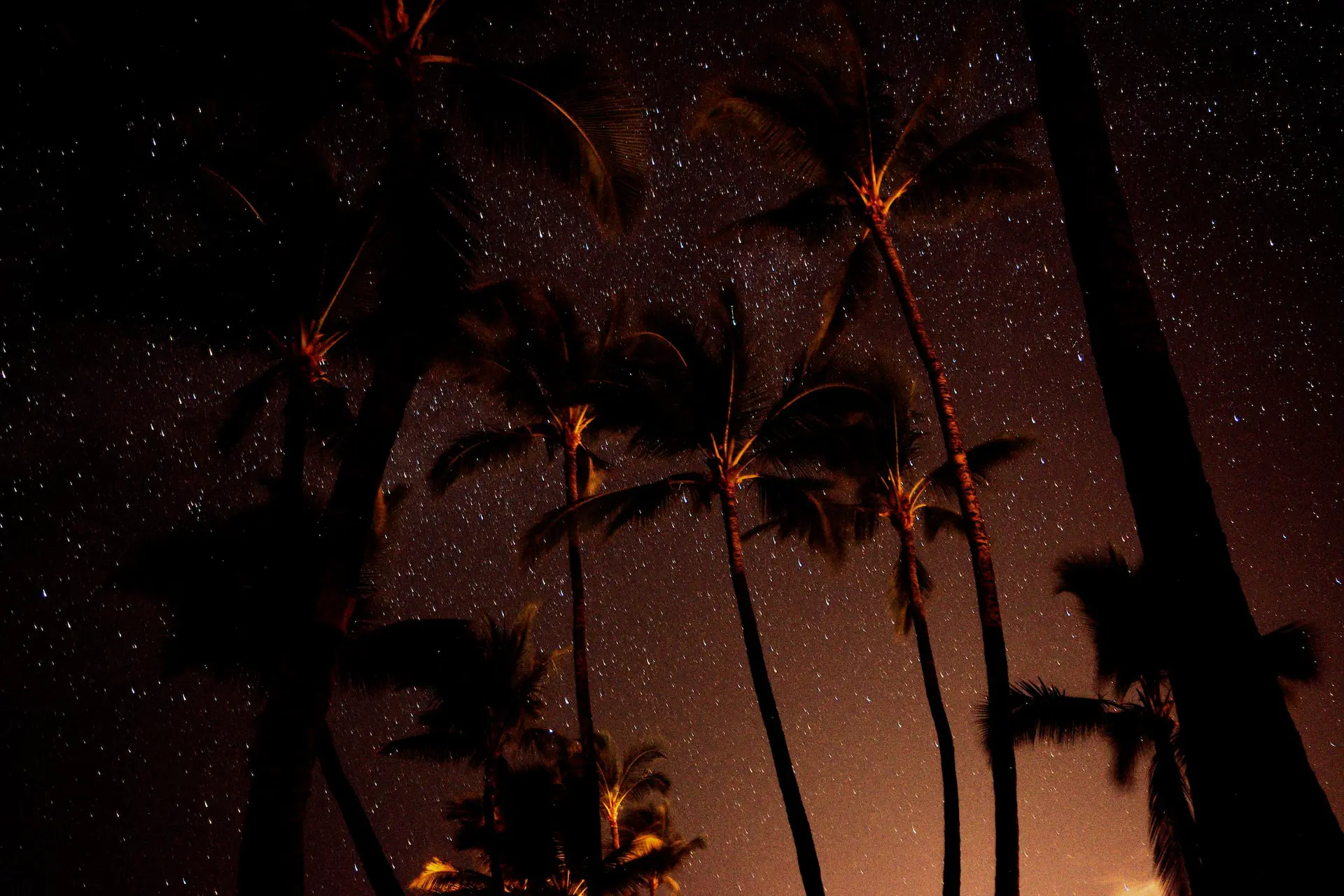 glow-in-the-dark-trees
