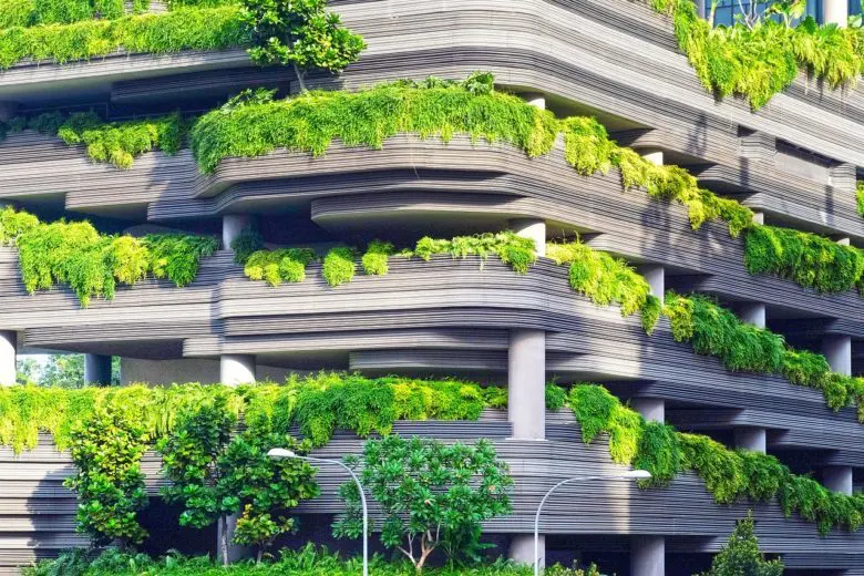 green_construction_1573678454-e1573678539831