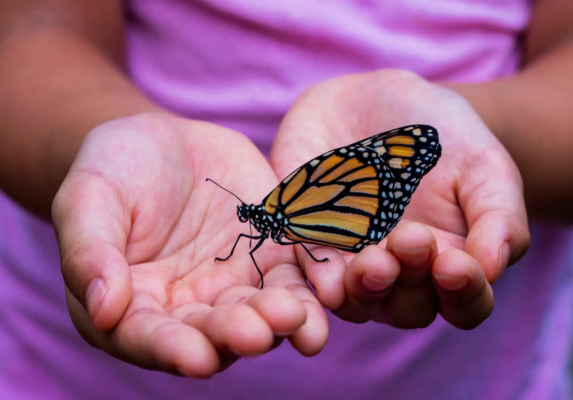 how-to-raise-kids-aware-of-nature