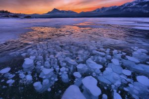 ice-age