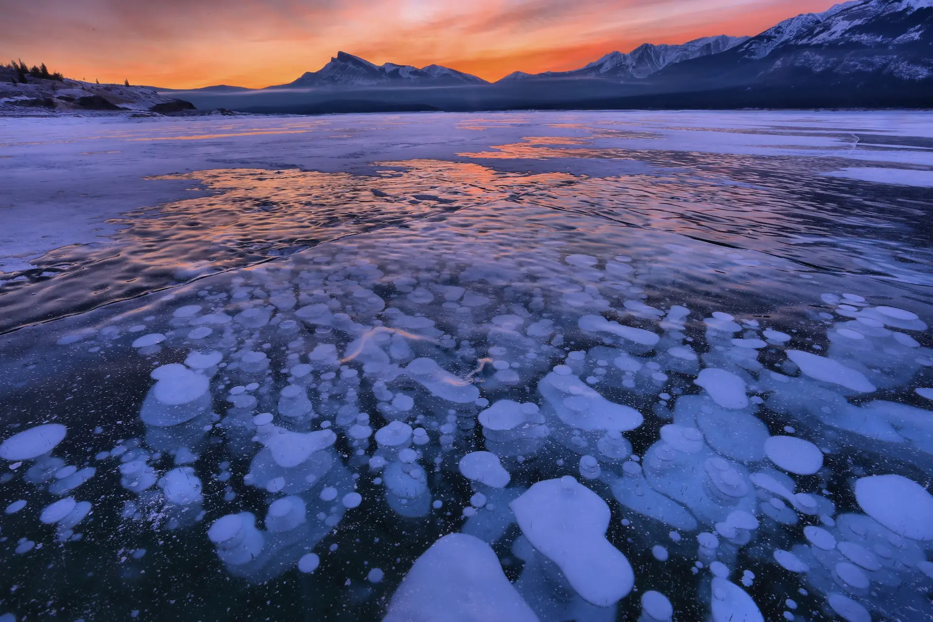 ice-age