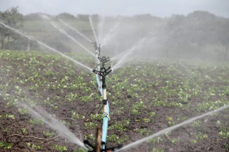 irrigation_1578062488-e1578062500732