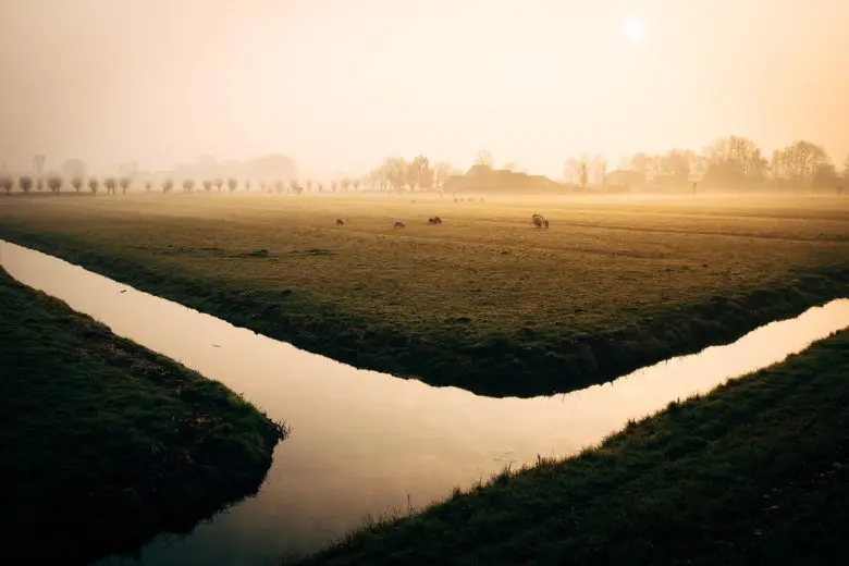 irrigation_1578687612-e1578687633759