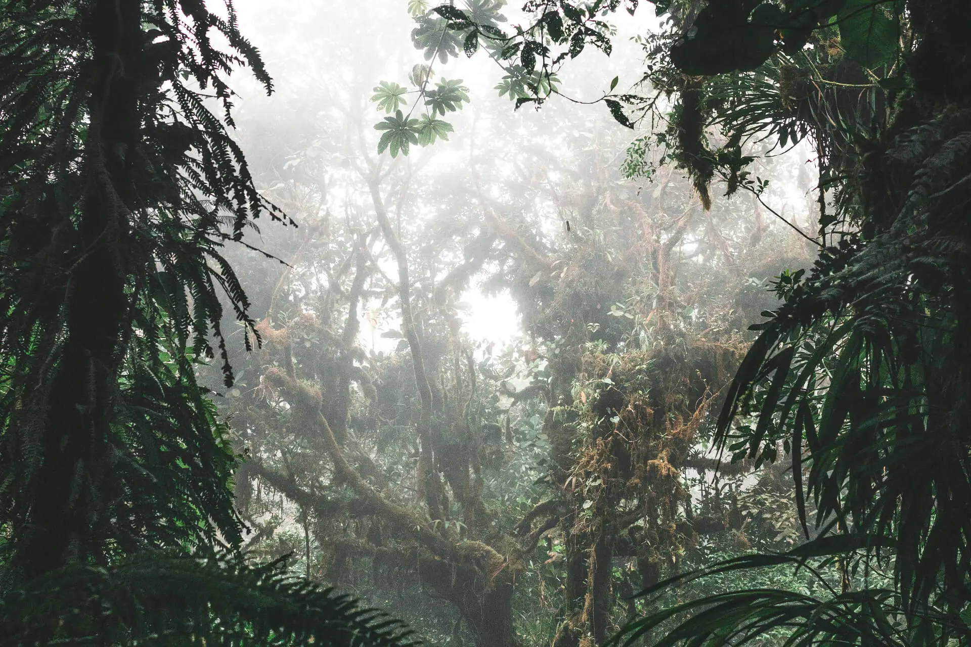 jan-kronies-K-x7h4NXtAY-unsplash