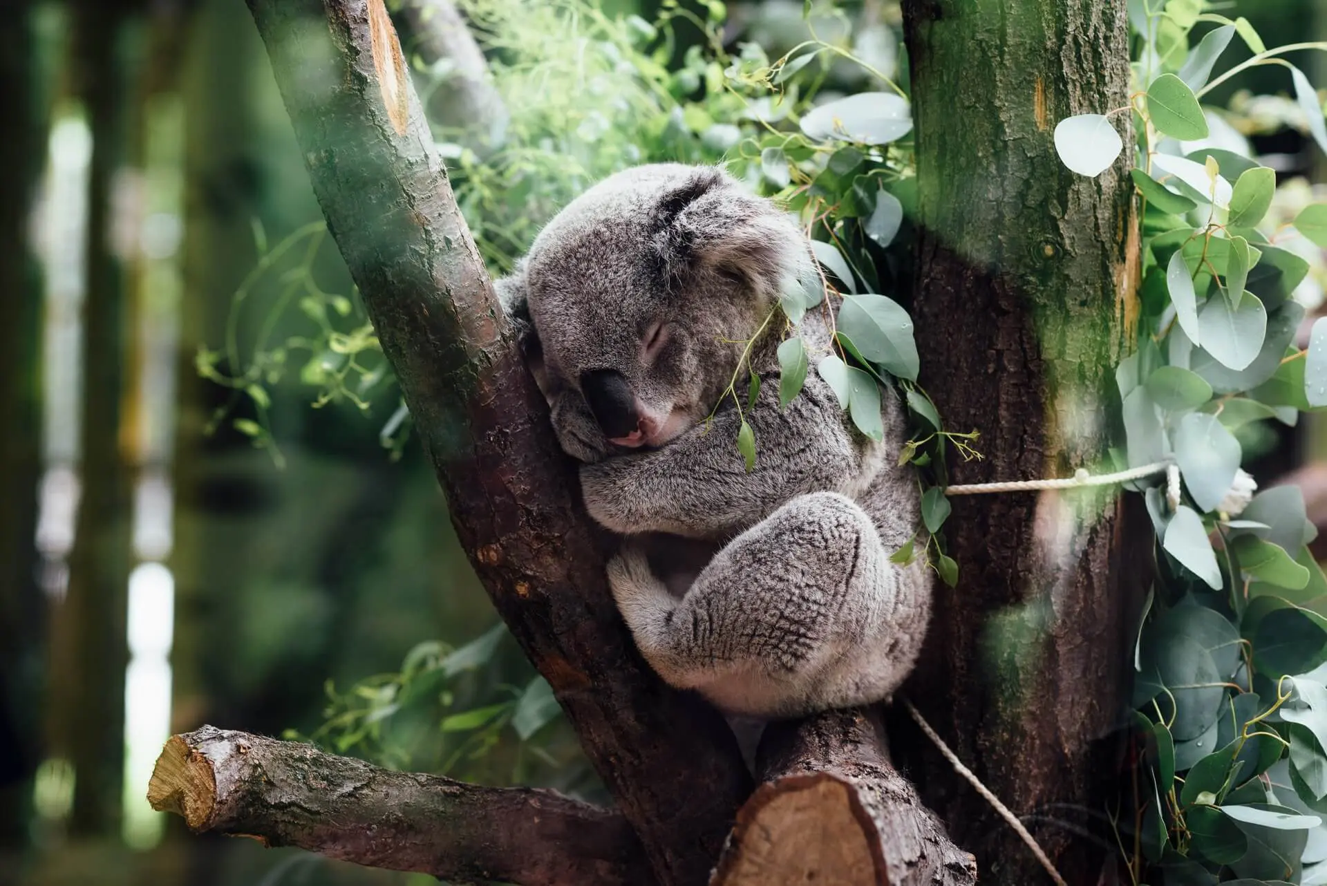 jordan-whitt-EerxztHCjM8-unsplash-1-1