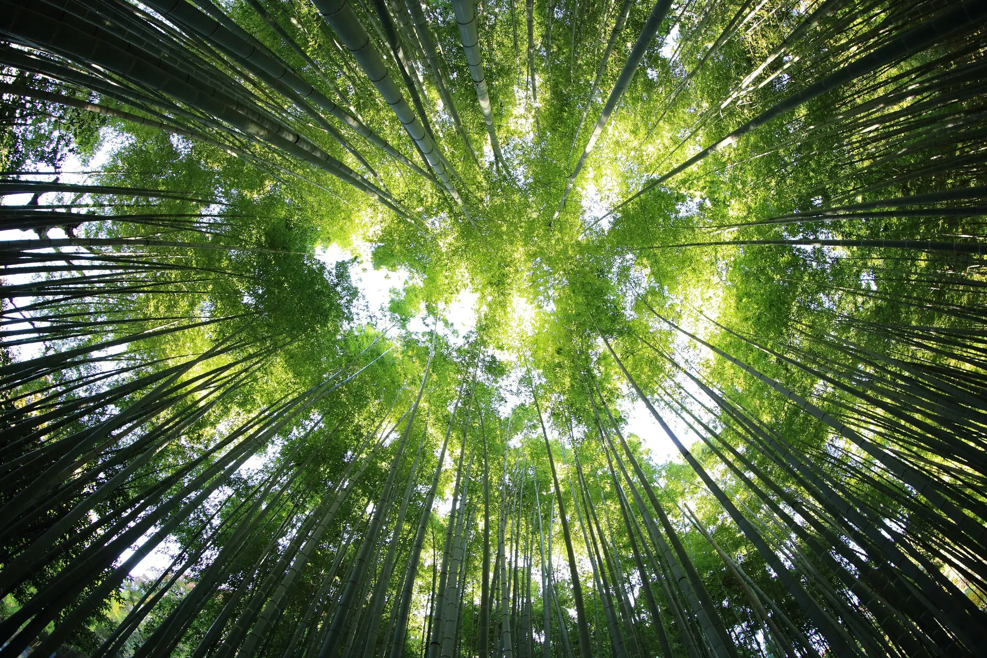 kazuend-19SC2oaVZW0-unsplash-1
