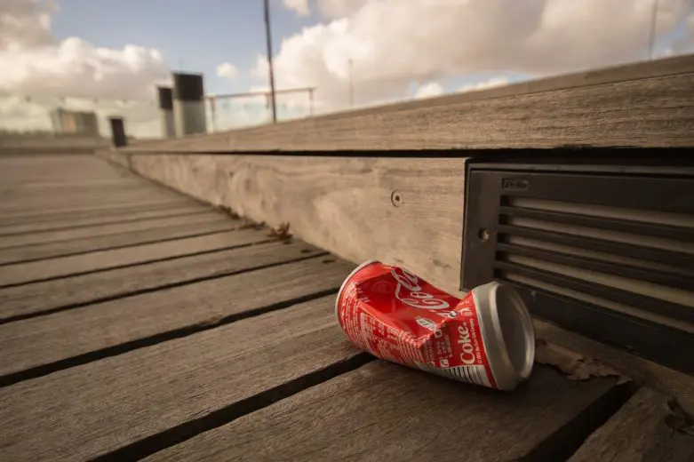 littering_1586540449-e1586540465877