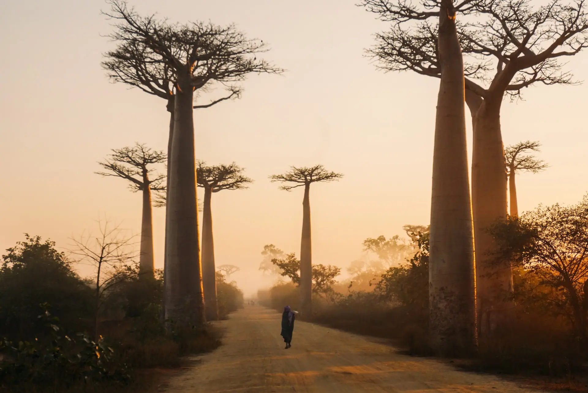 madagascar-drought